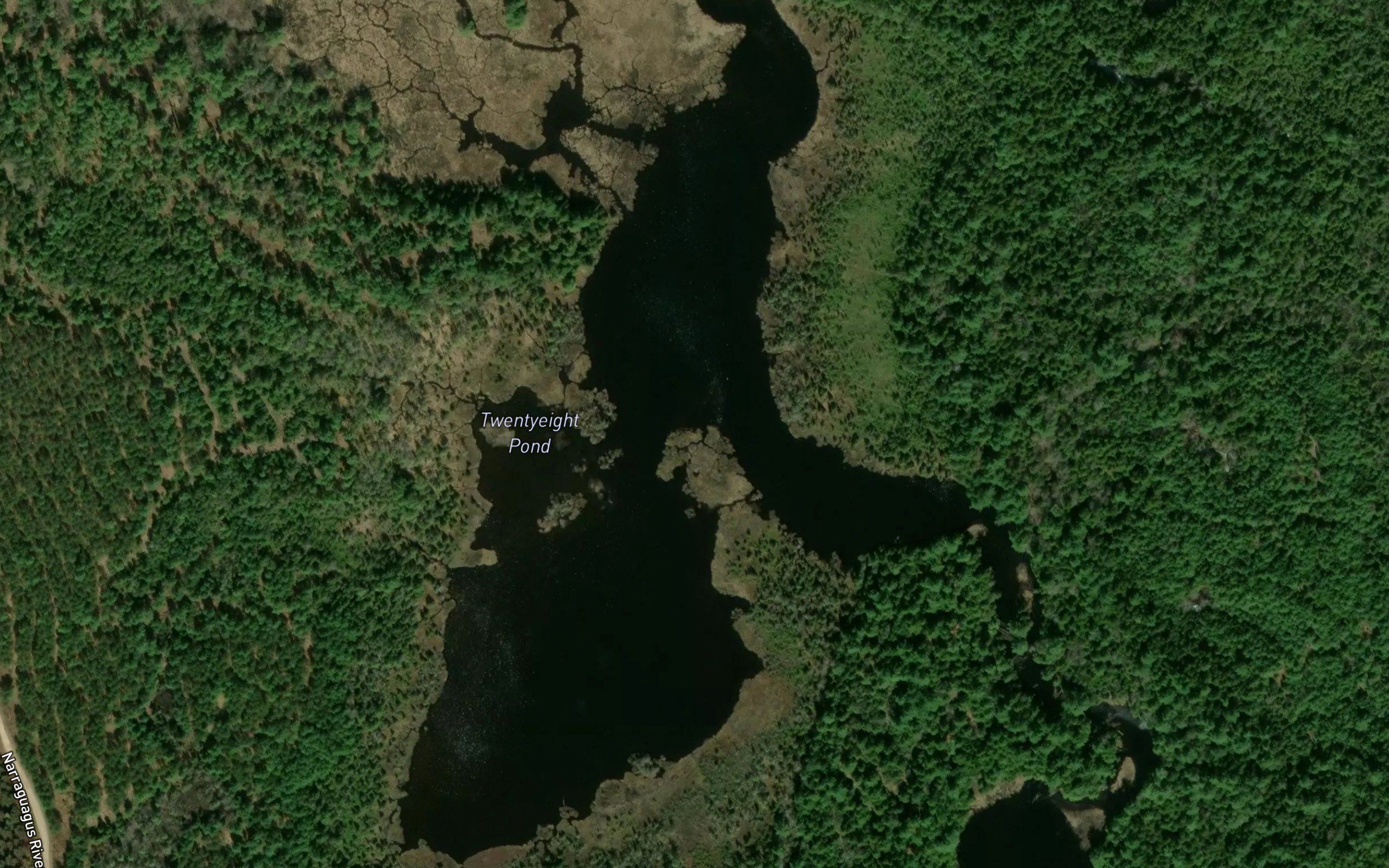 Twentyeight Pond
