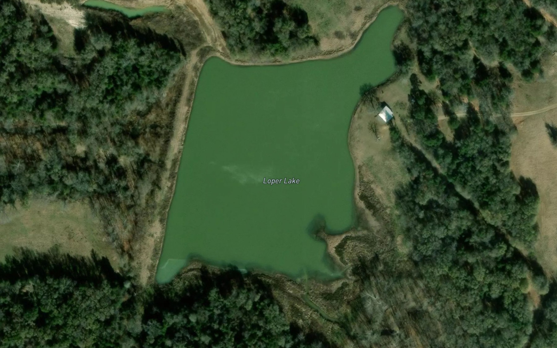Satellite map of the Loper Lake