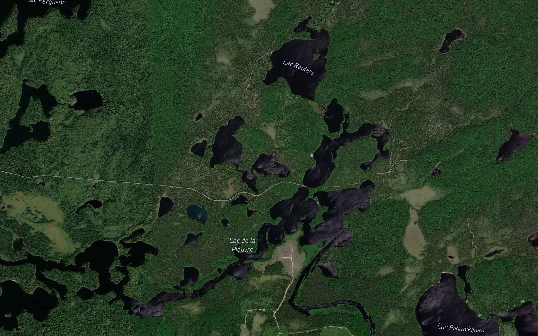 Satellite map of the Lac du Turbot