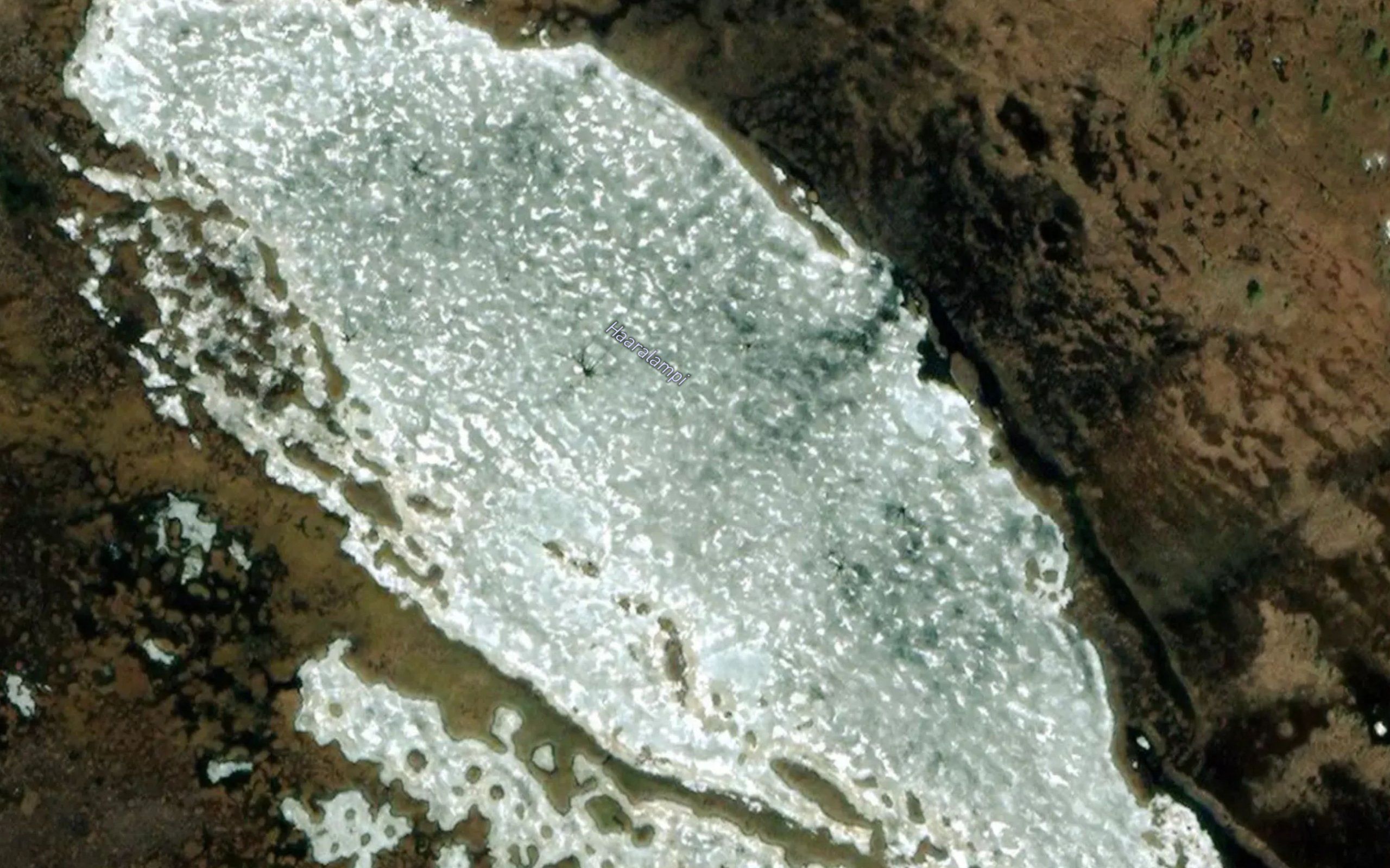 Haaralampi