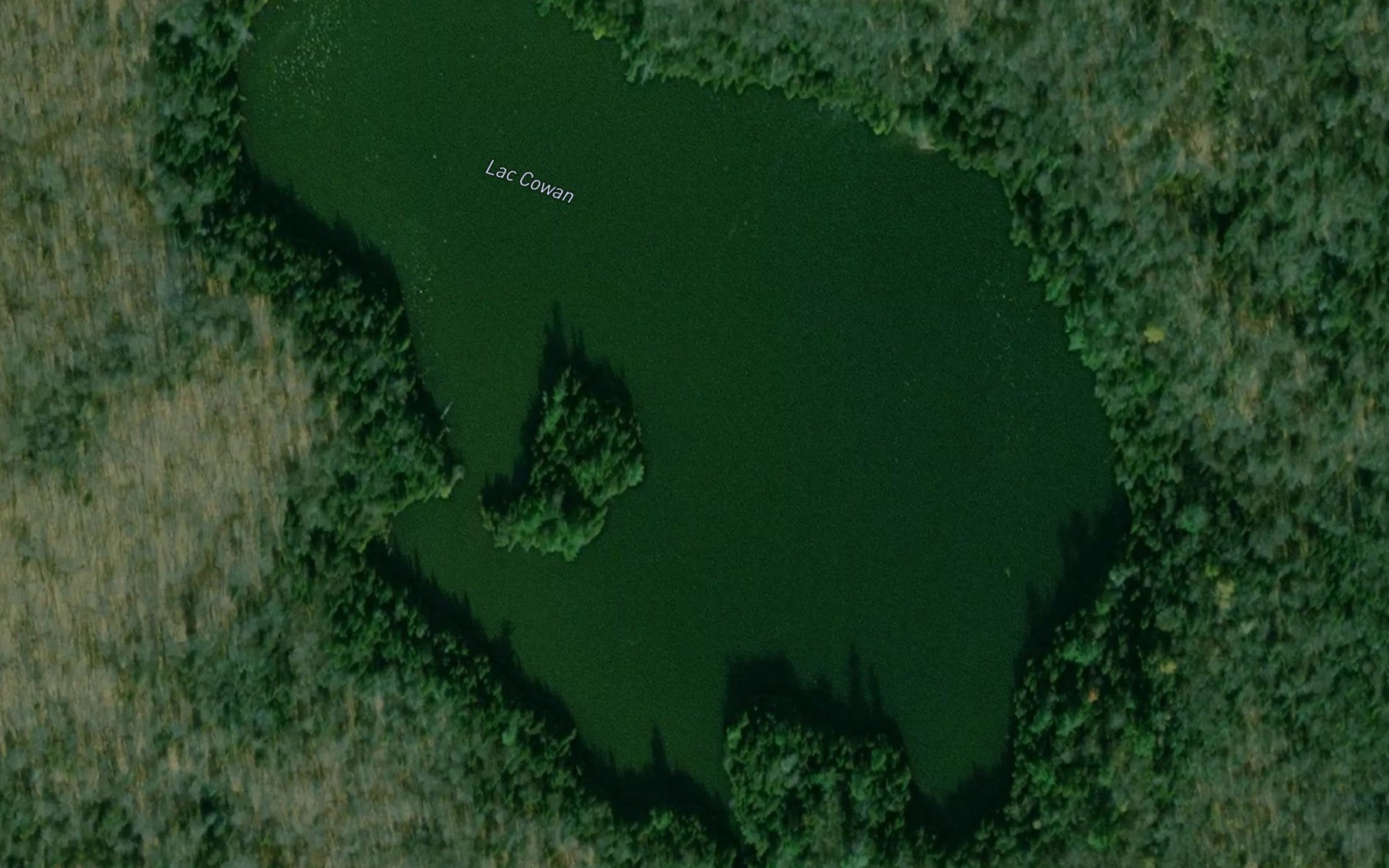 Satellite map of the Lac Cowan