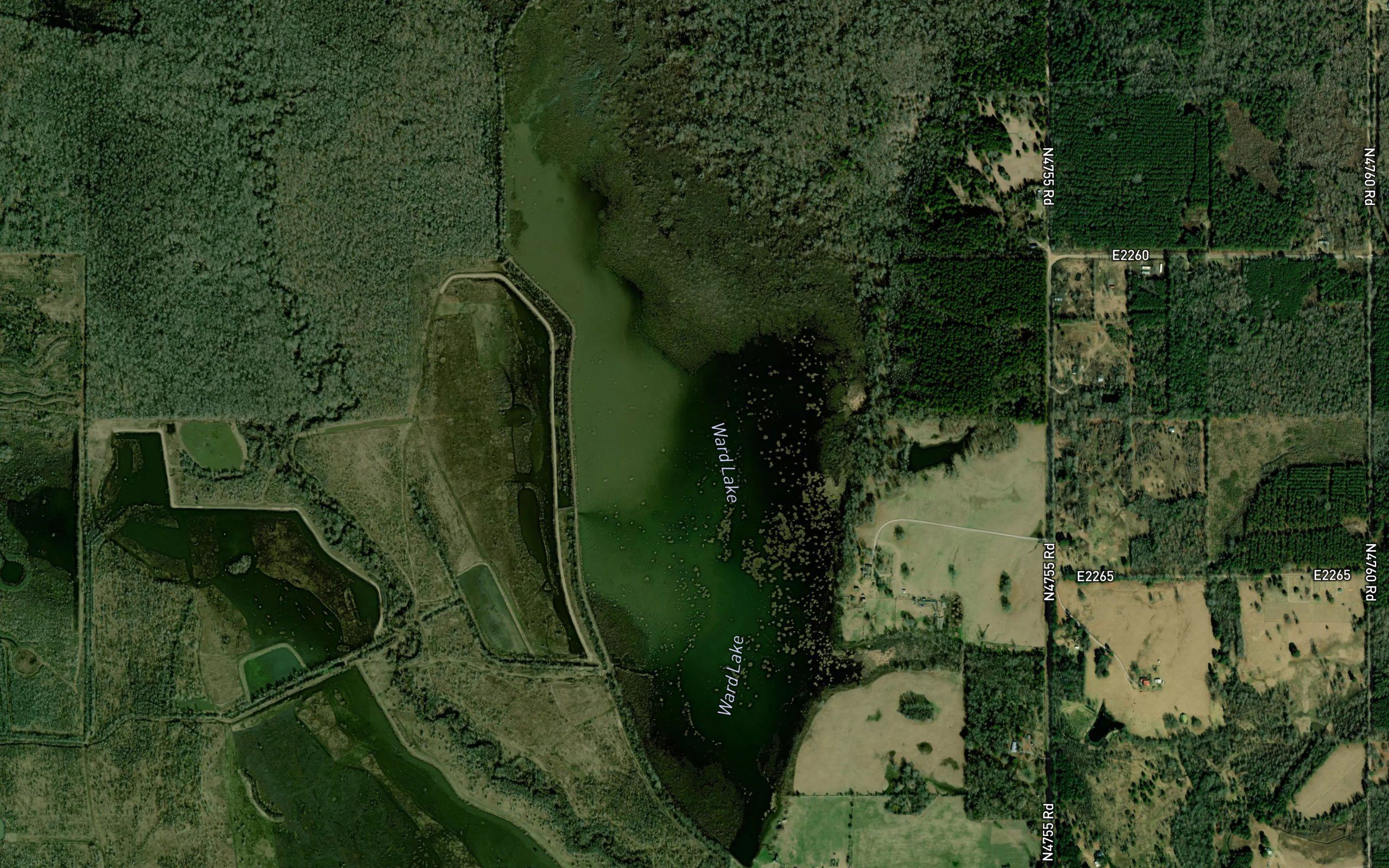 Ward Lake