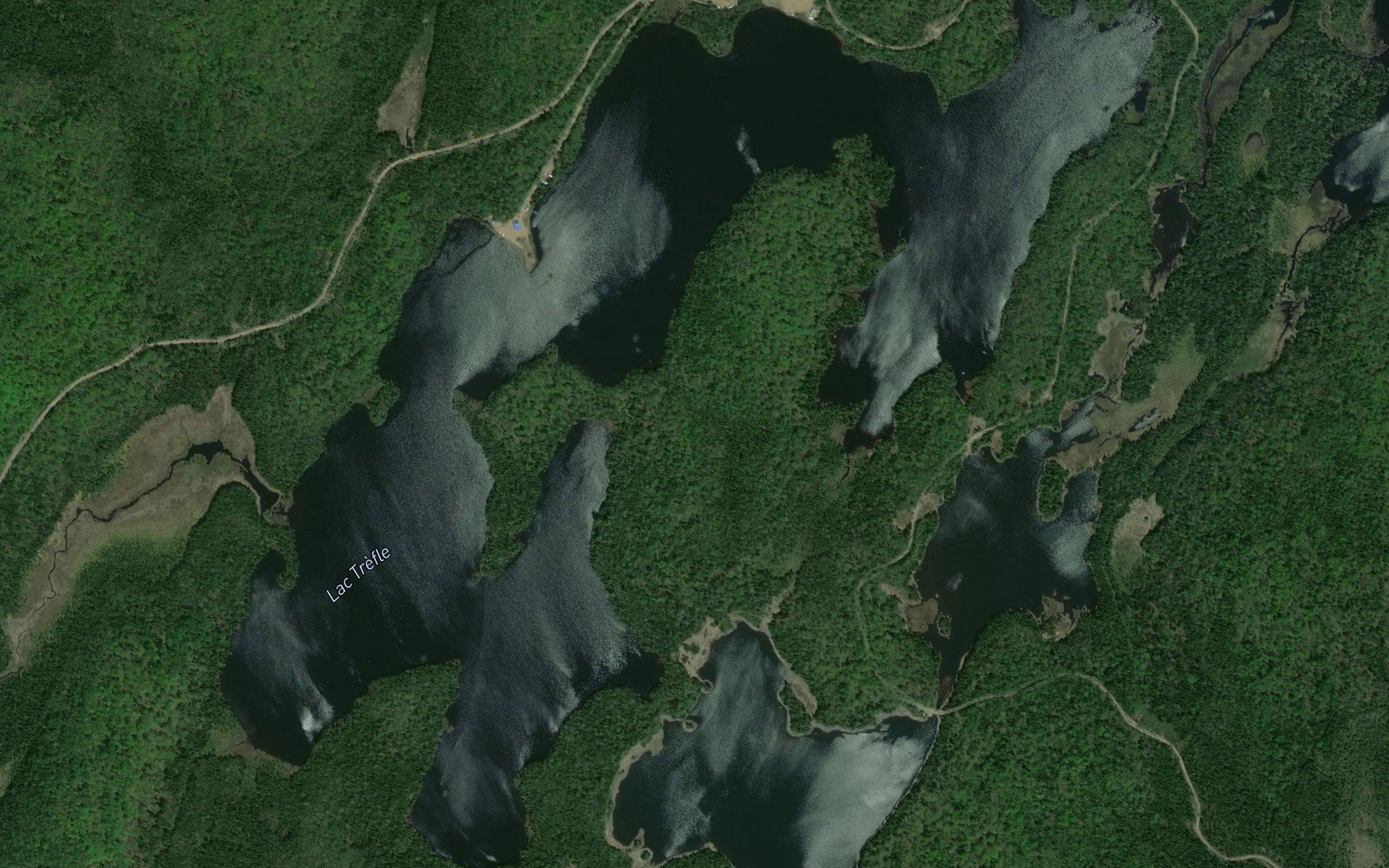 Lac Trefle
