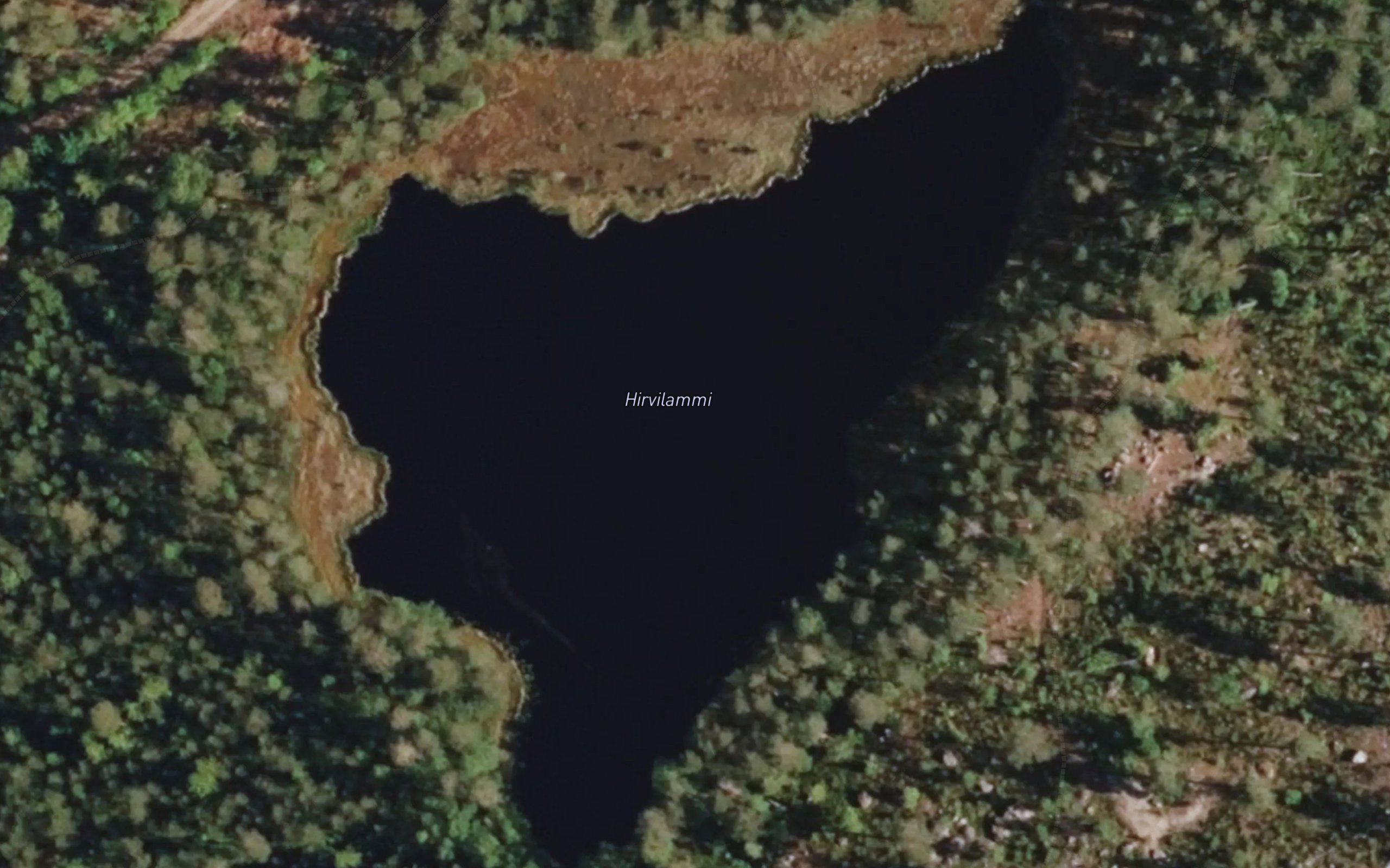 Hirvilammi