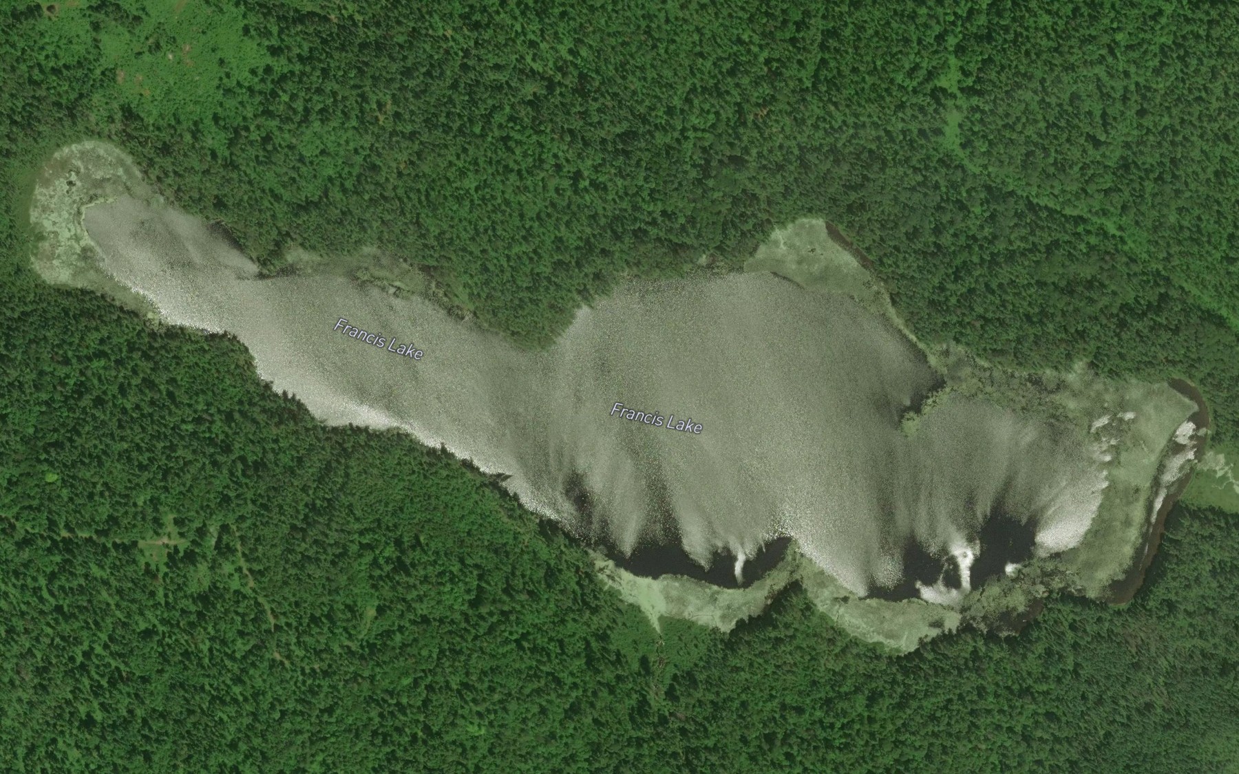 Satellite map of the Francis Lake