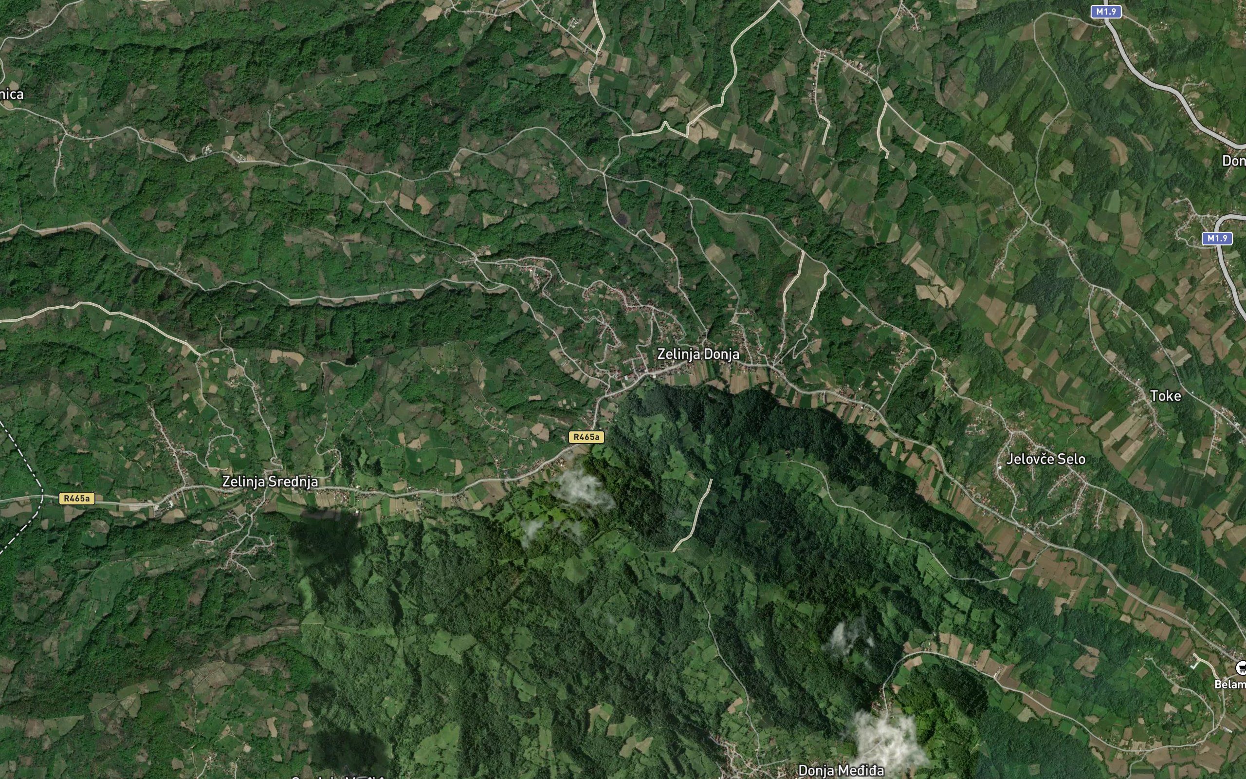 Jasenica