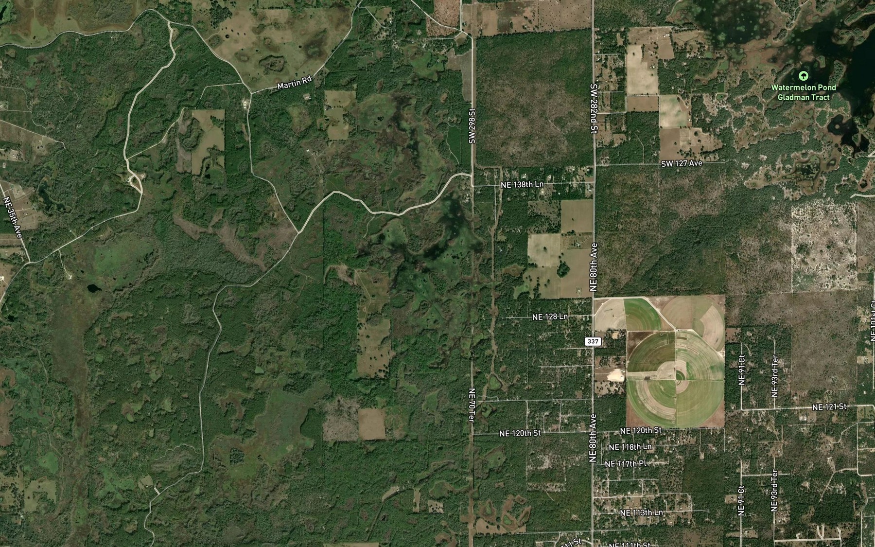 Satellite map of the Station Pond
