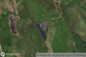 Three Cornered Lake