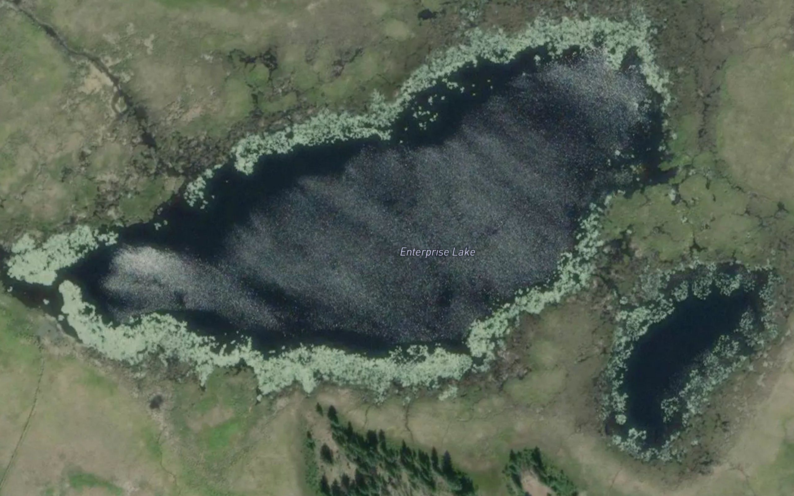 Enterprise Lake