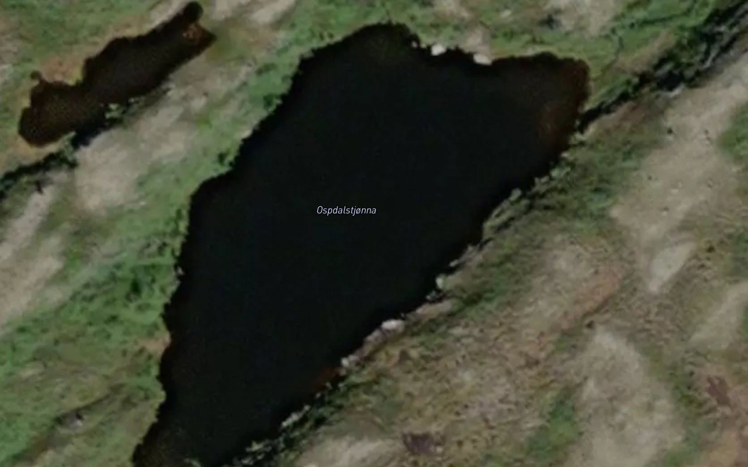 Aspdaltjorna