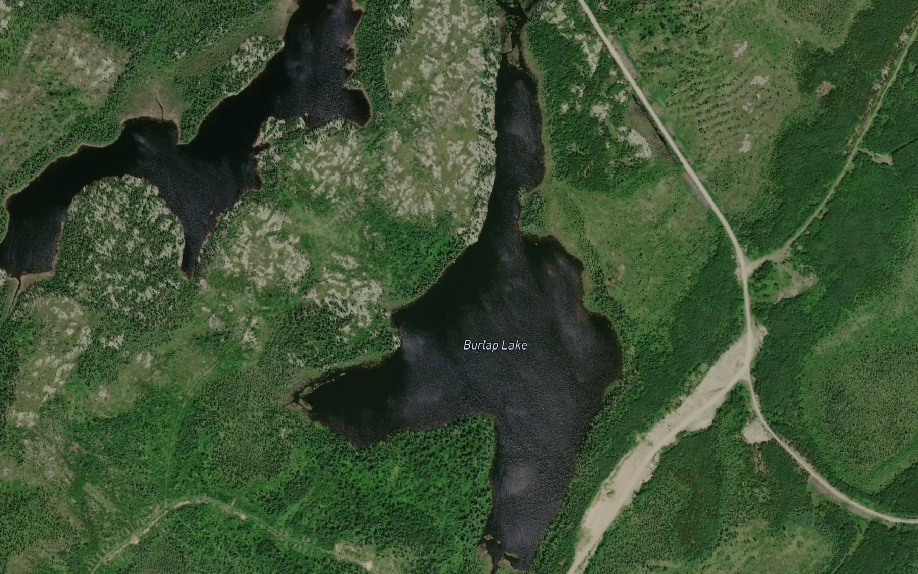 Satellite map of the Burlap Lake