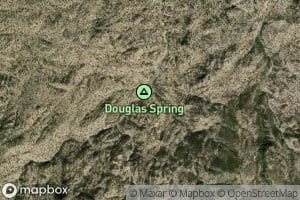 Douglas Camp Spring