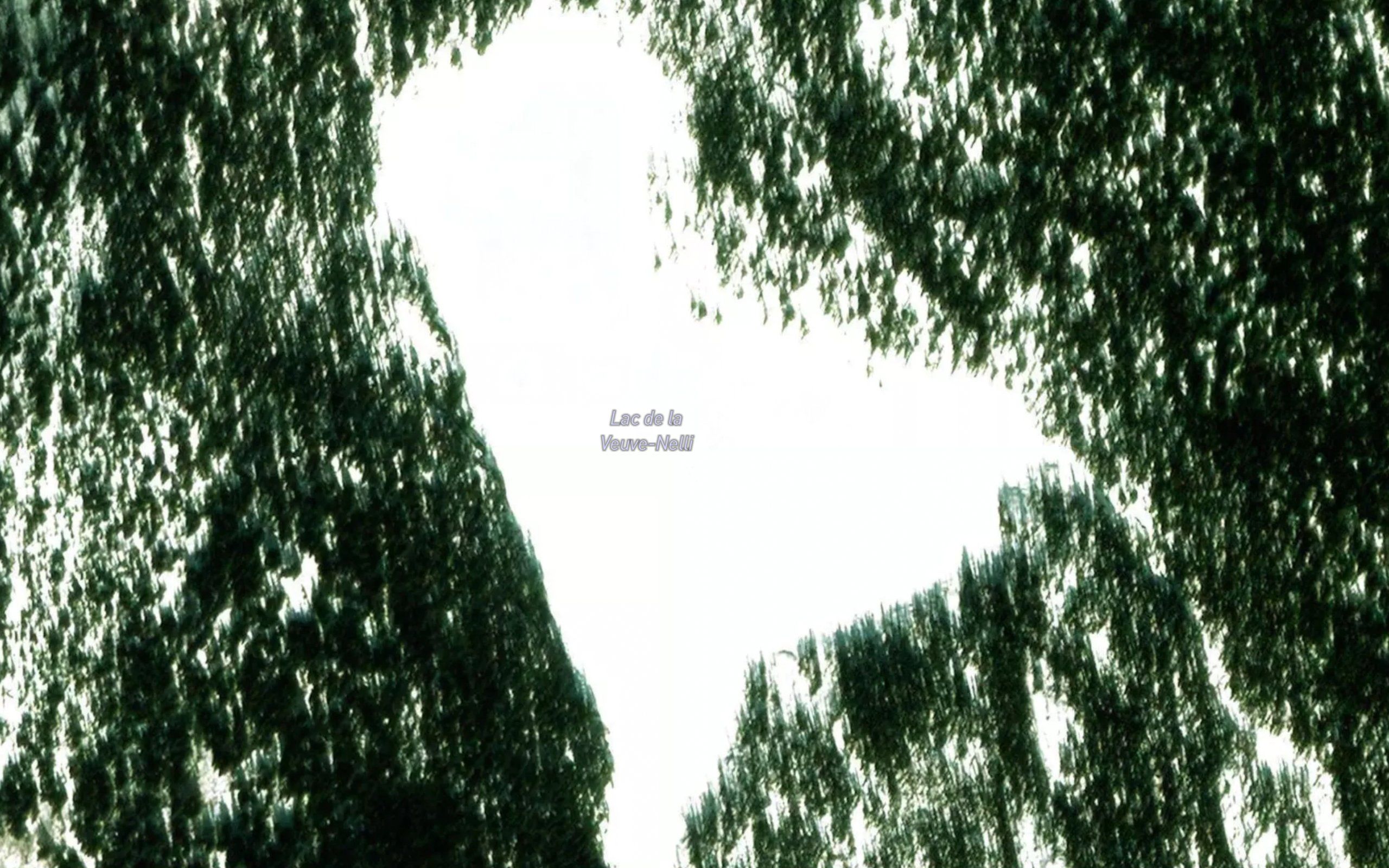 Lac de la Veuve-Nelli
