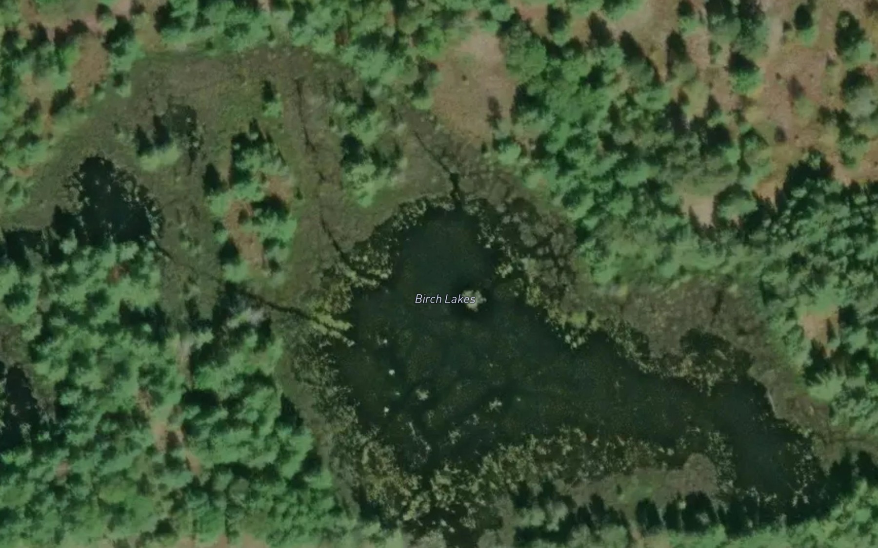 Satellite map of the Birch Lakes