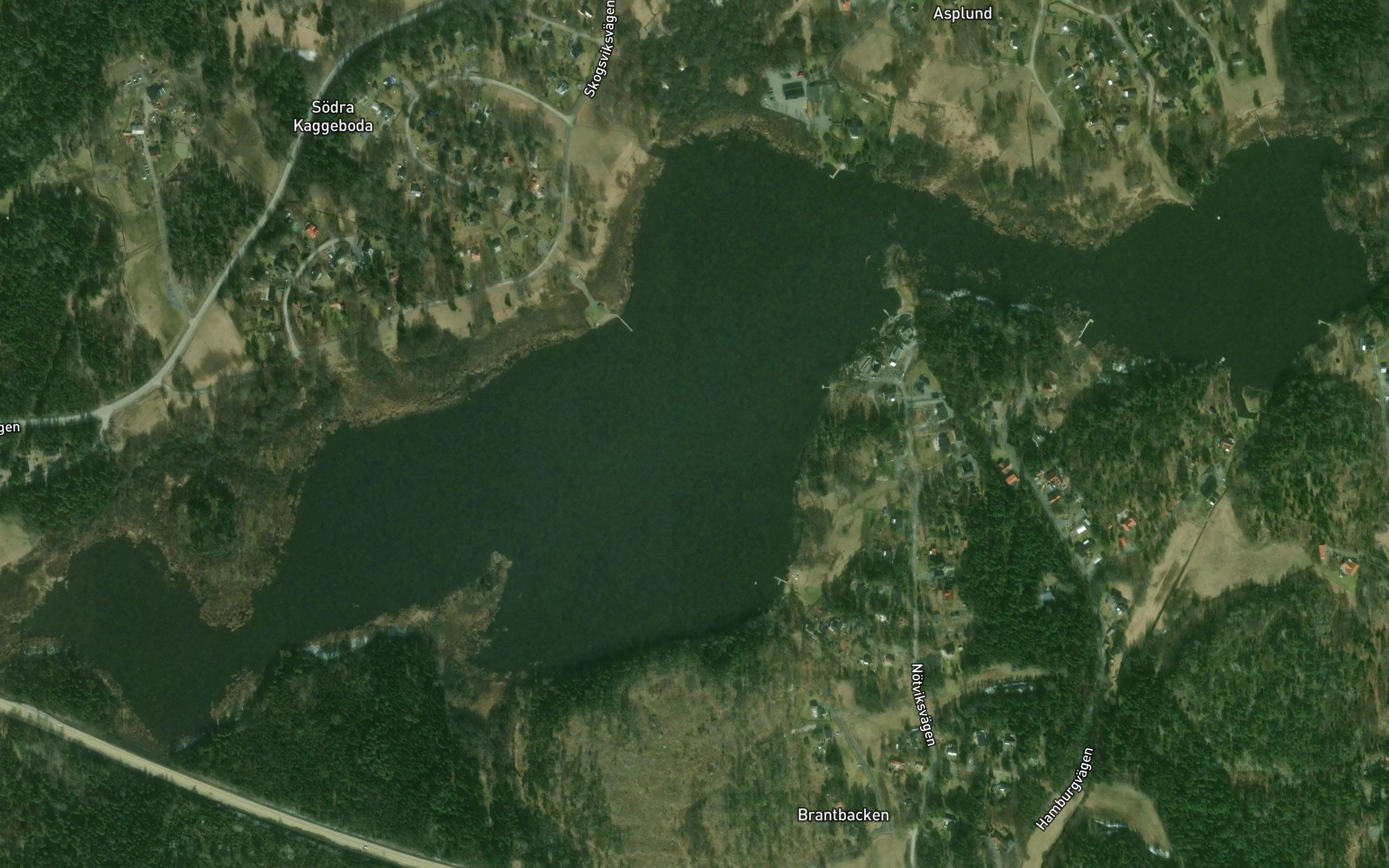 Skogsviken