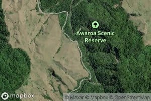 Mangakotukutuku Stream