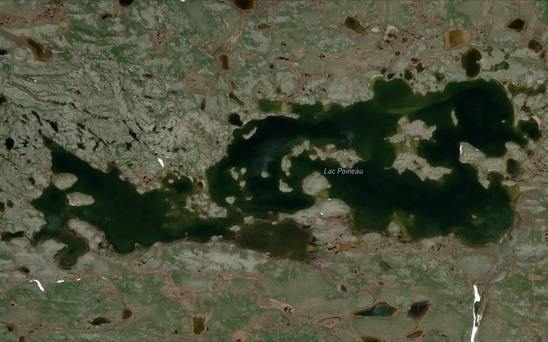 Satellite map of the Lac Poineau