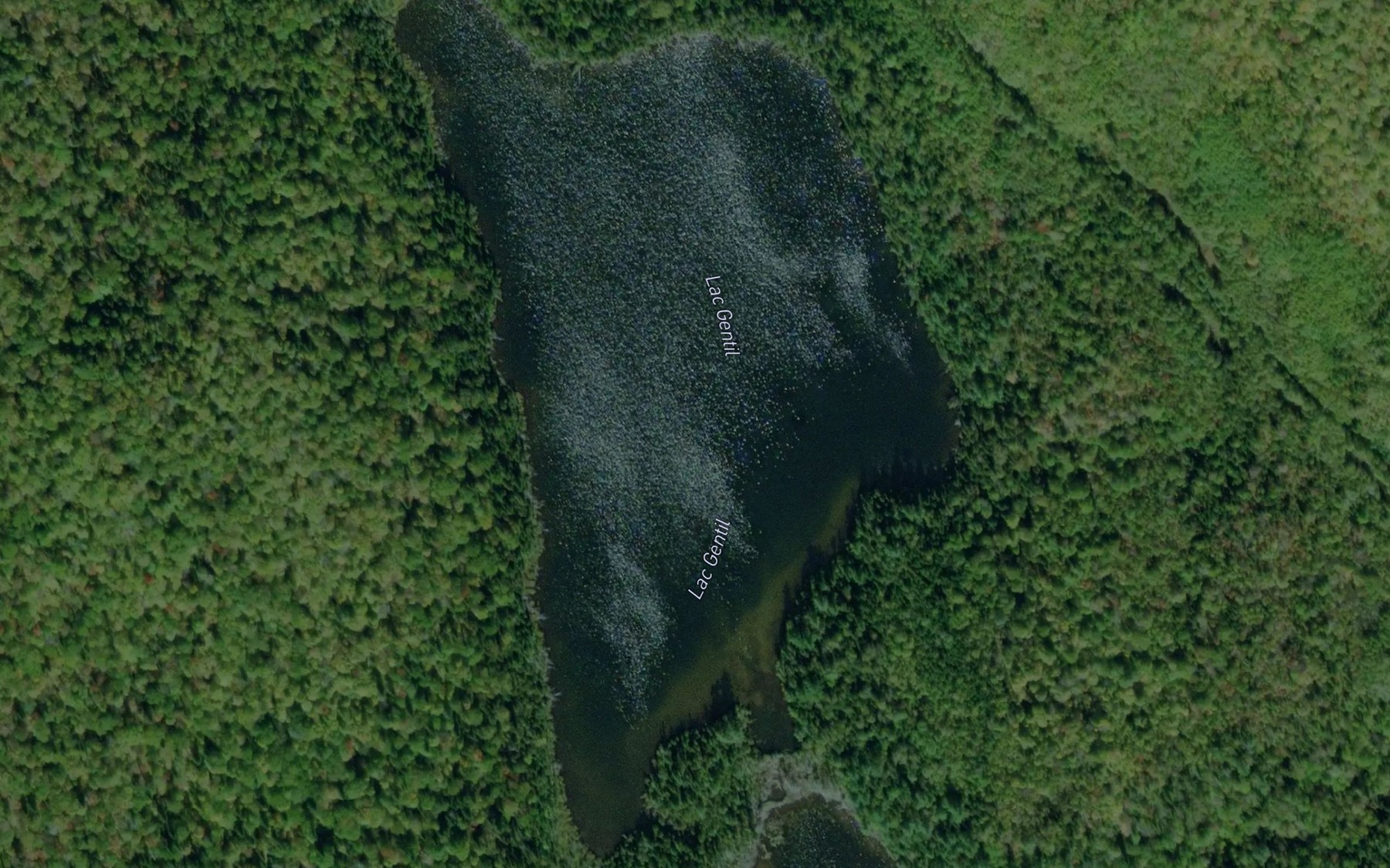 Satellite map of the Lac Gentil