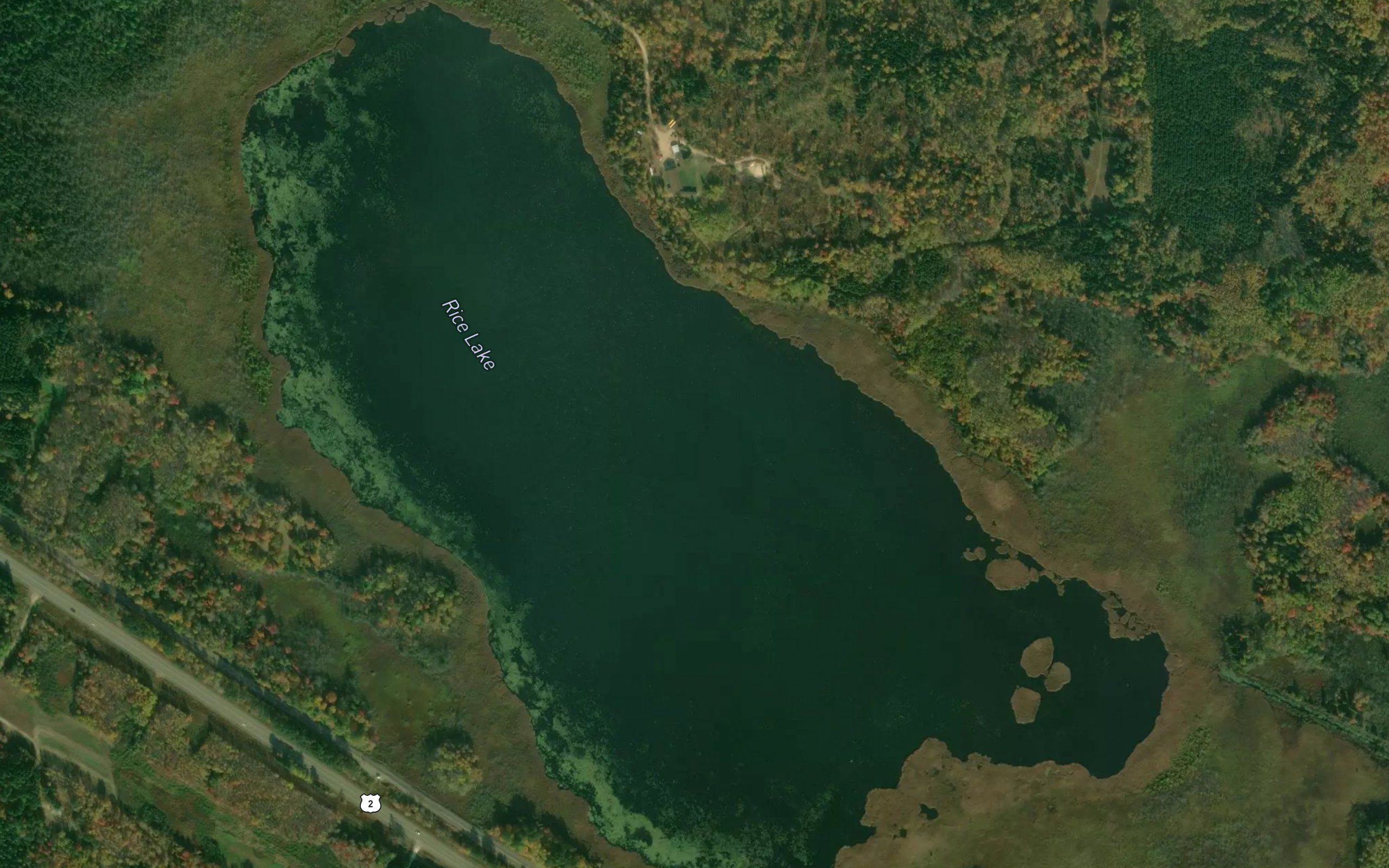 Rice Lake