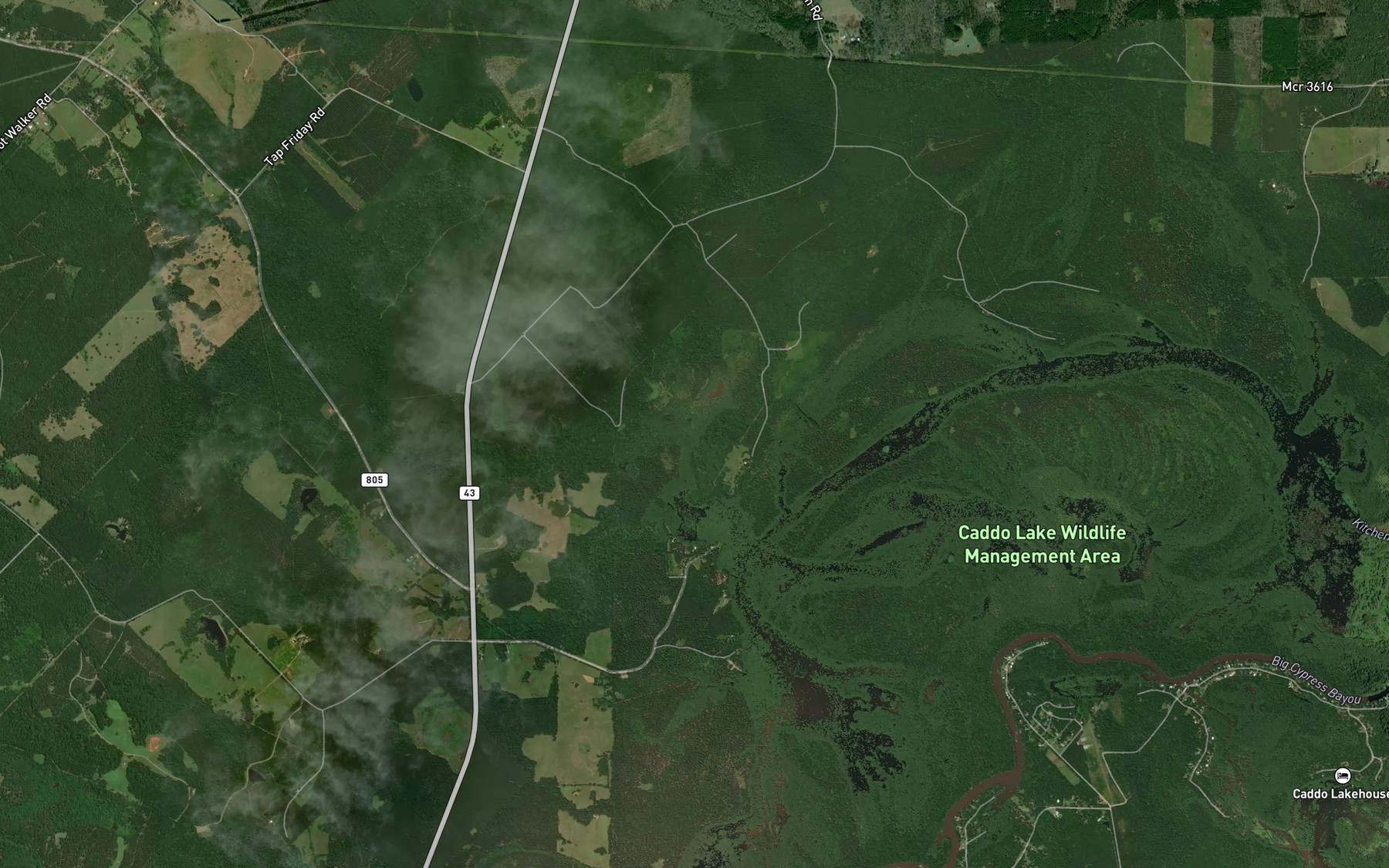 Satellite map of the Patterson Slough
