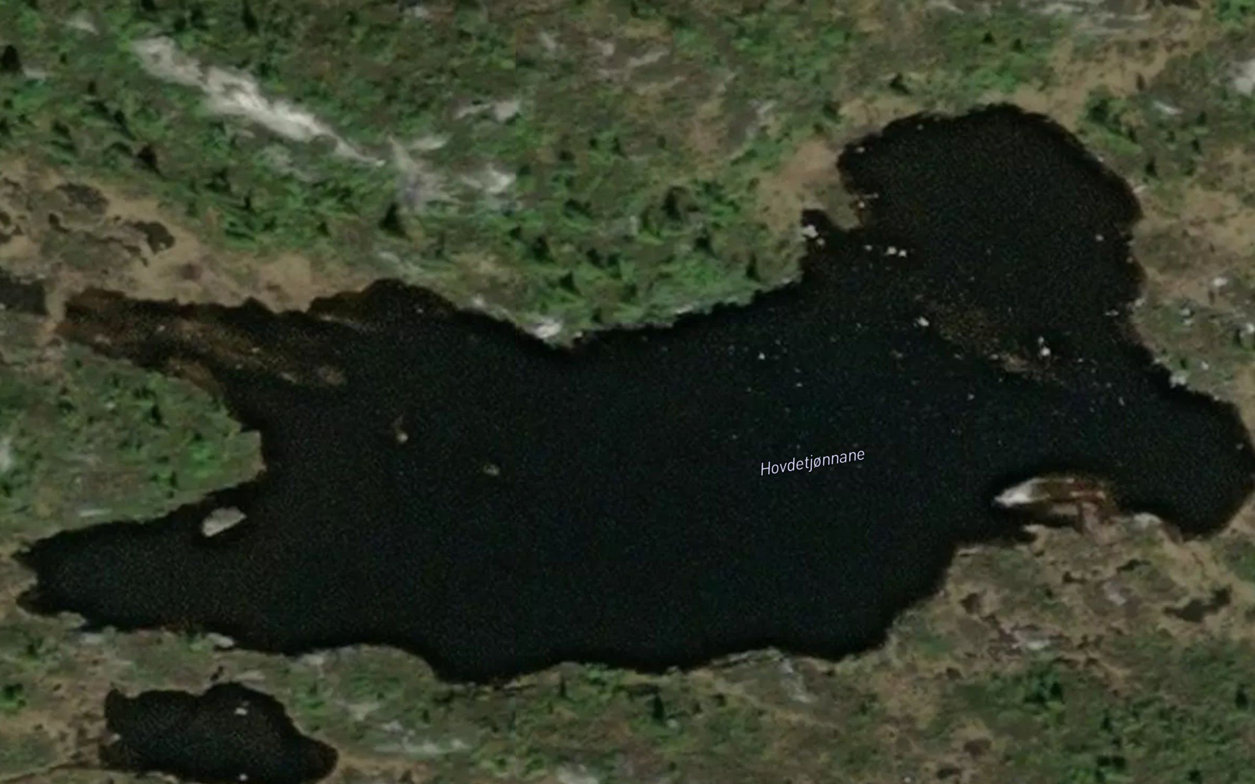 Hovdetjornane
