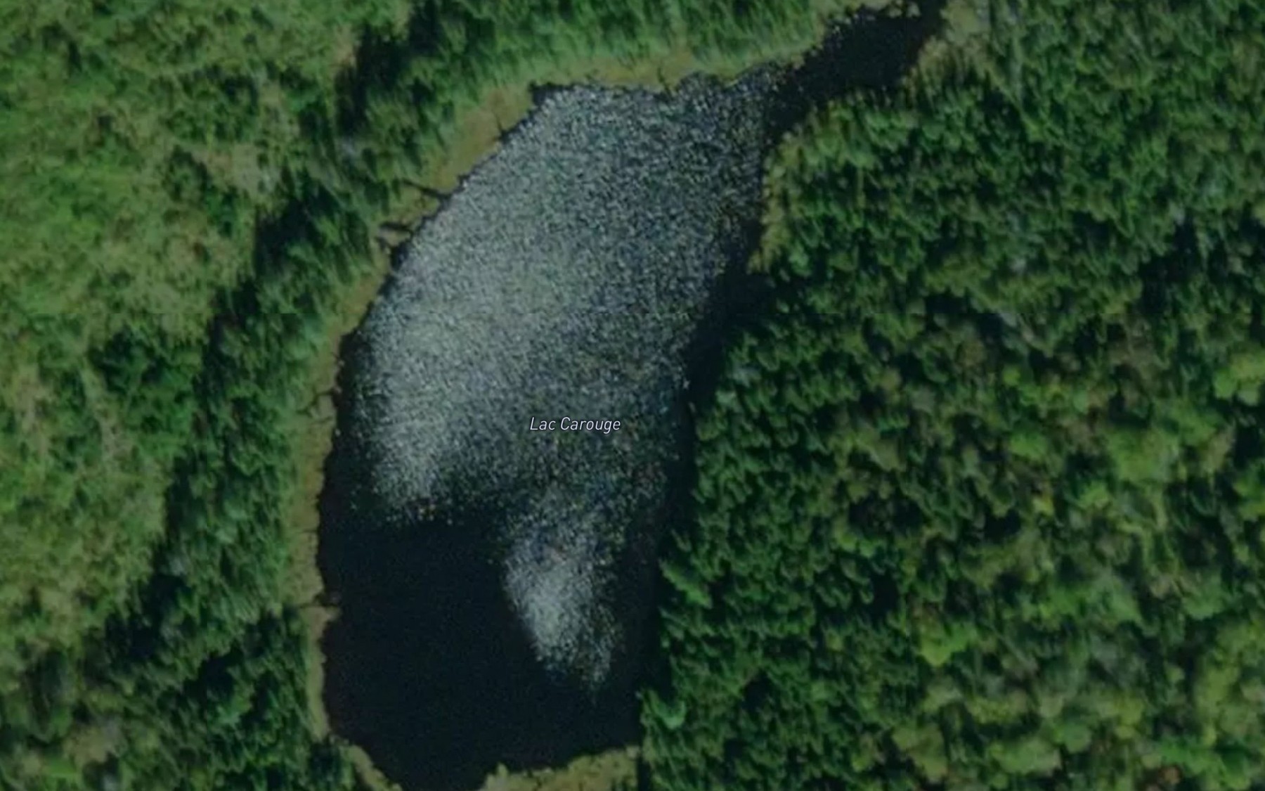 Satellite map of the Lac Carouge