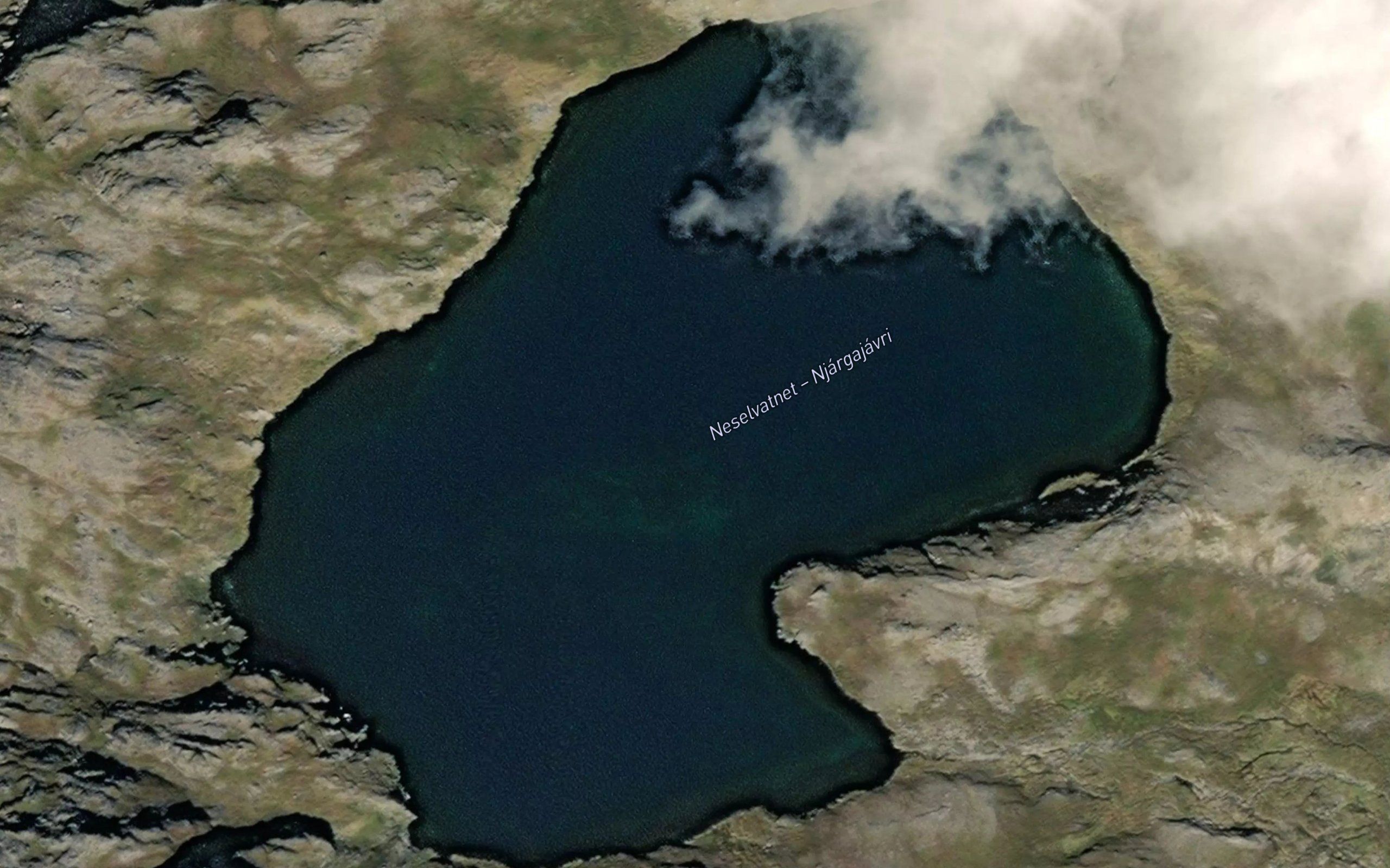 Njargajavri