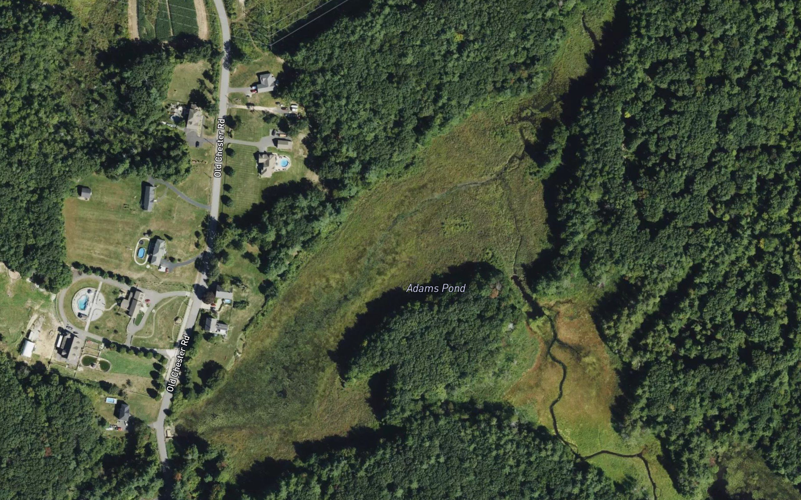 Adams Pond