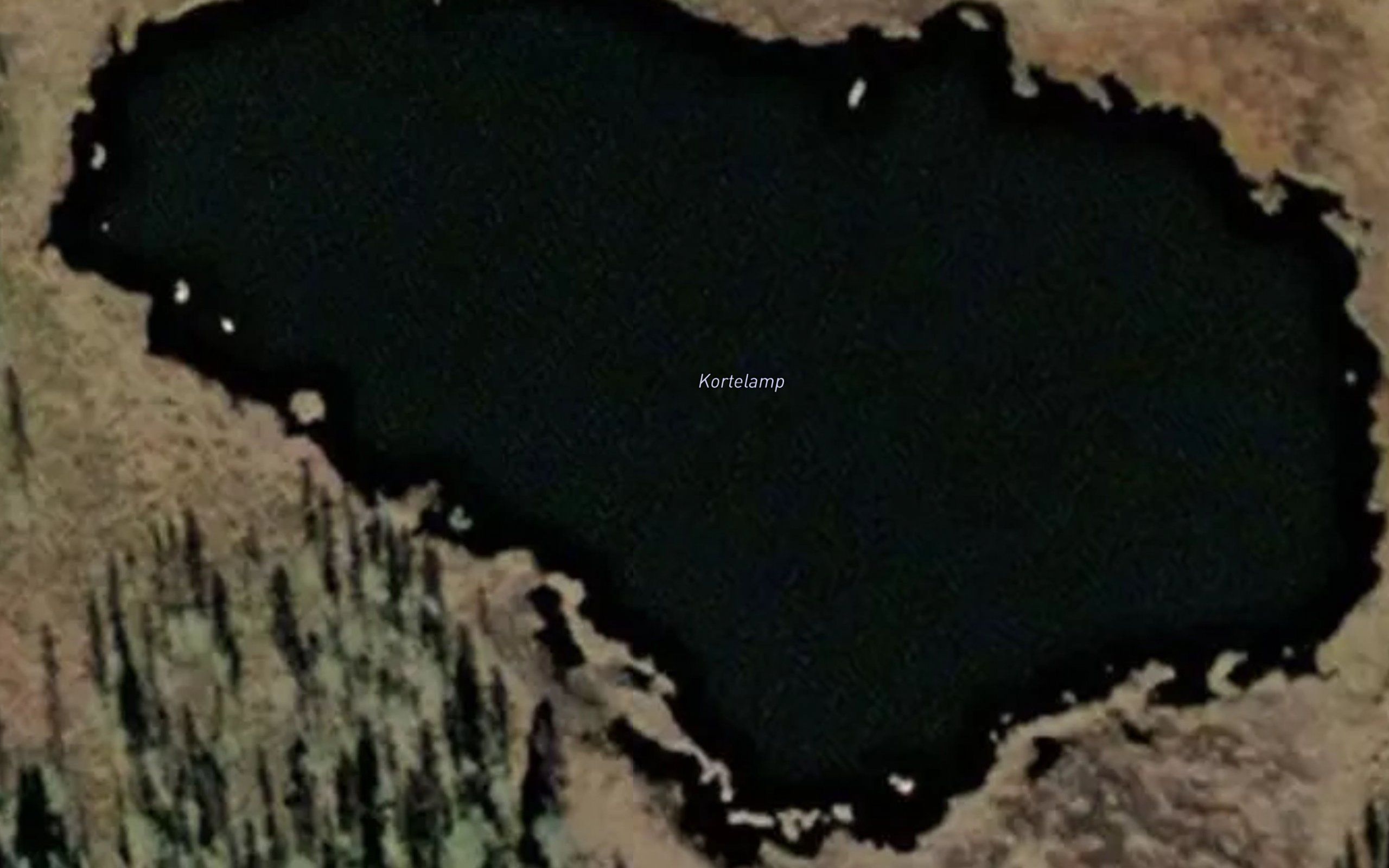 Kortelamp