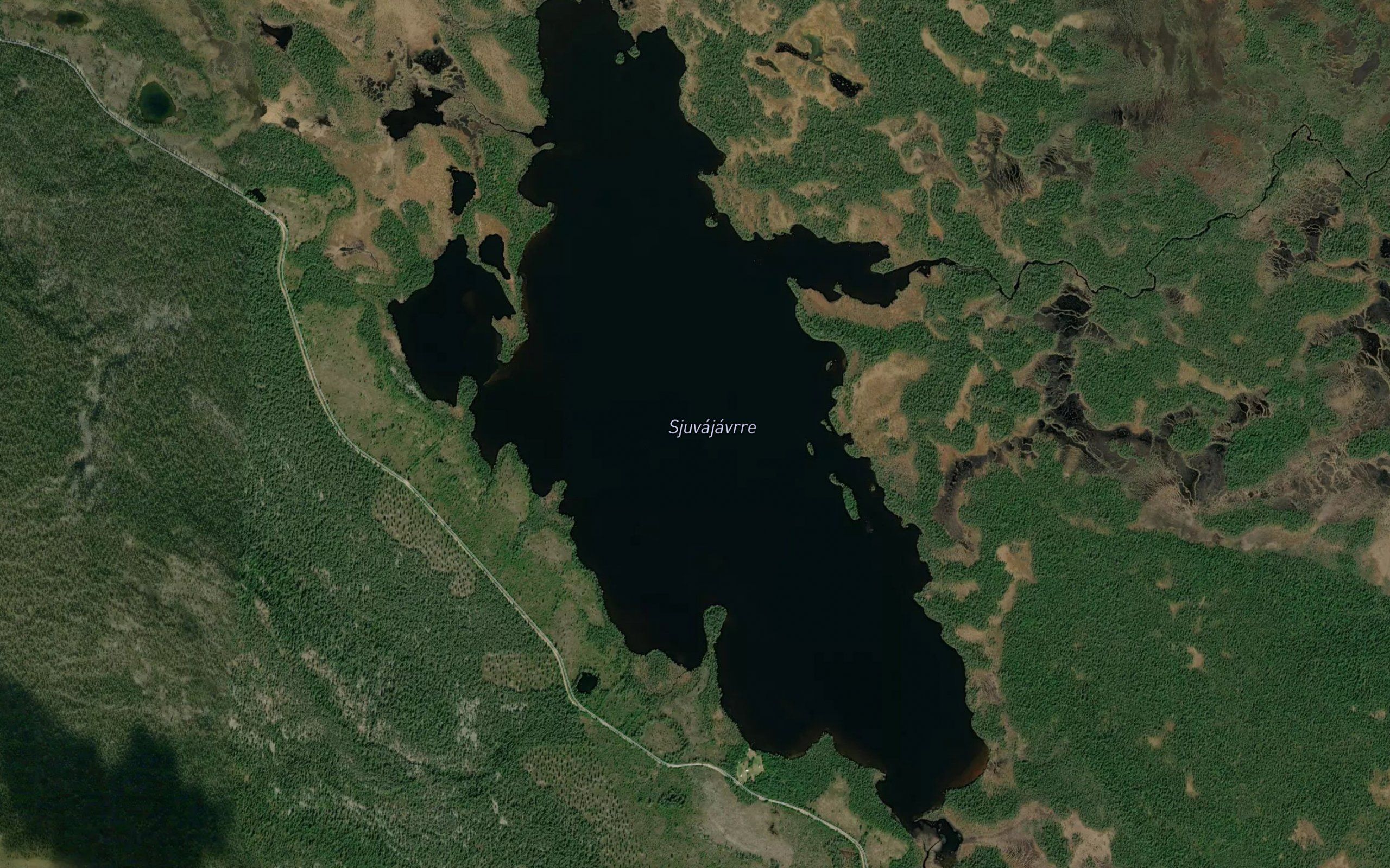 Sjavajaure