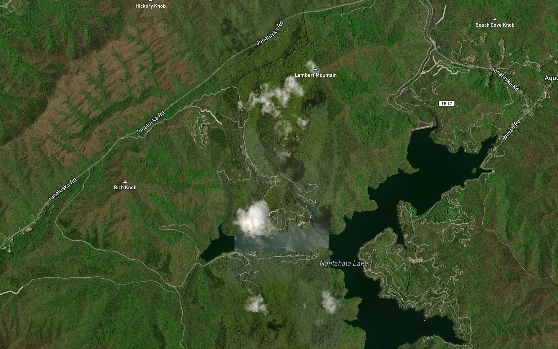 Satellite map of the Shop Branch