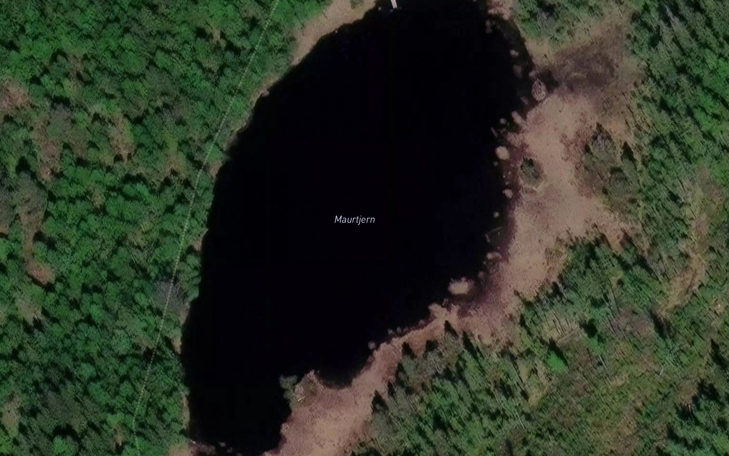 Maurtjern