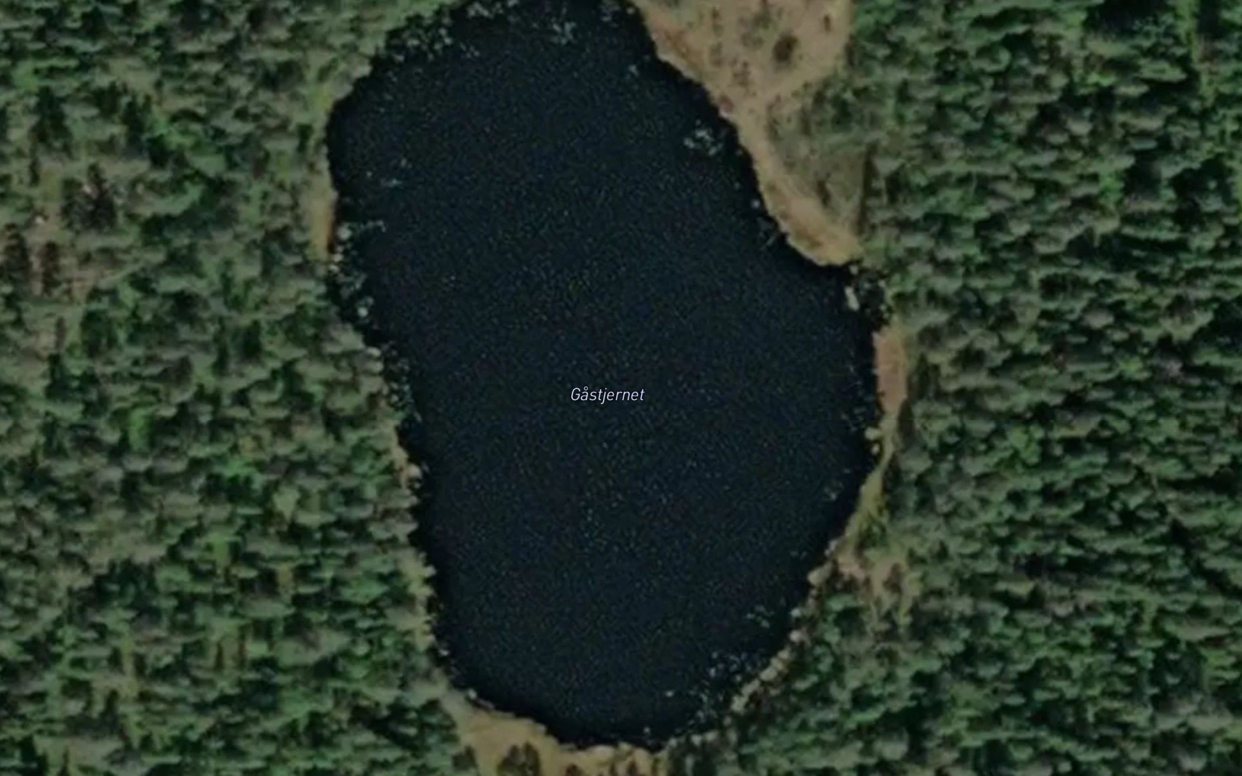 Gastjernet