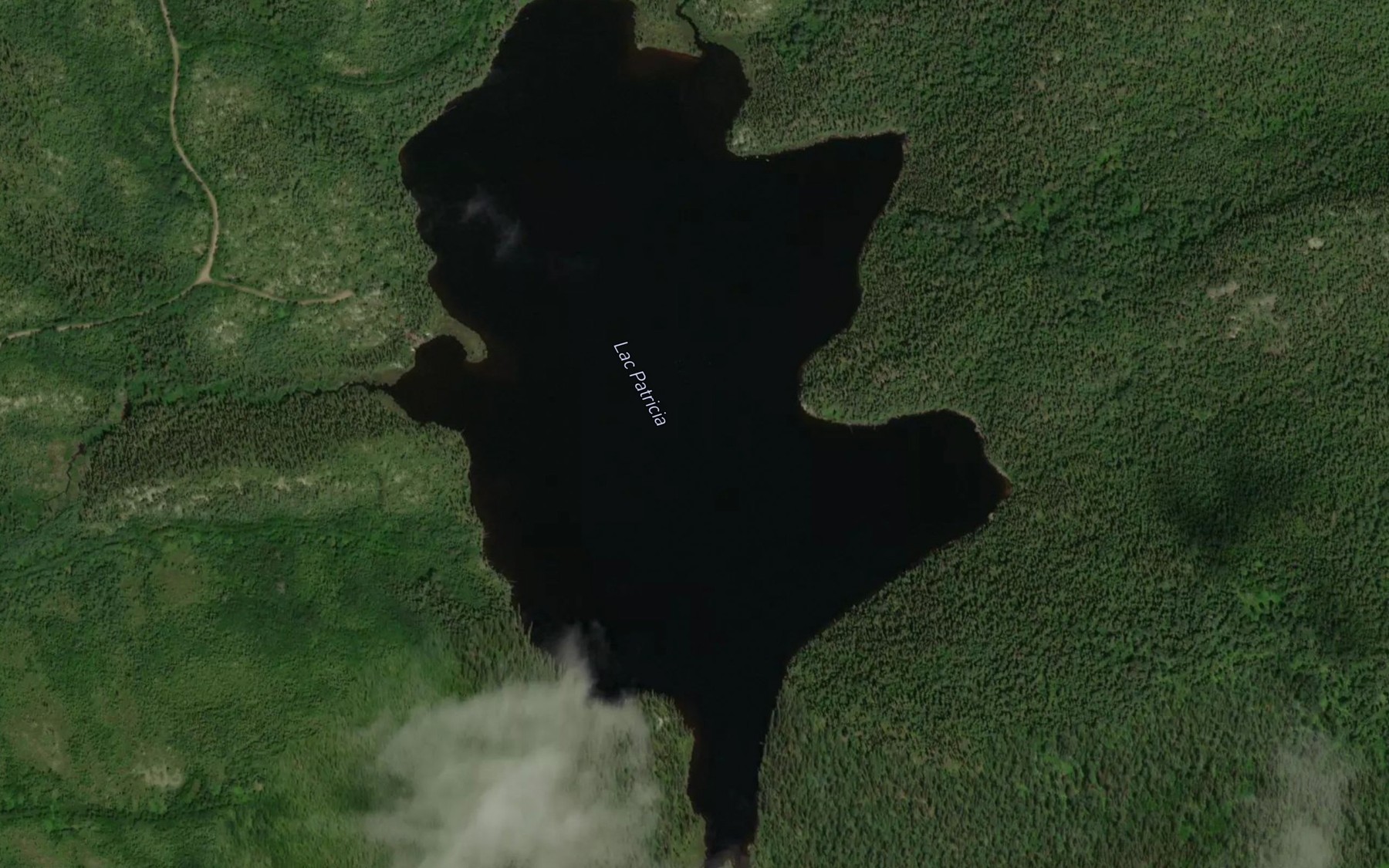 Satellite map of the Lac Patricia