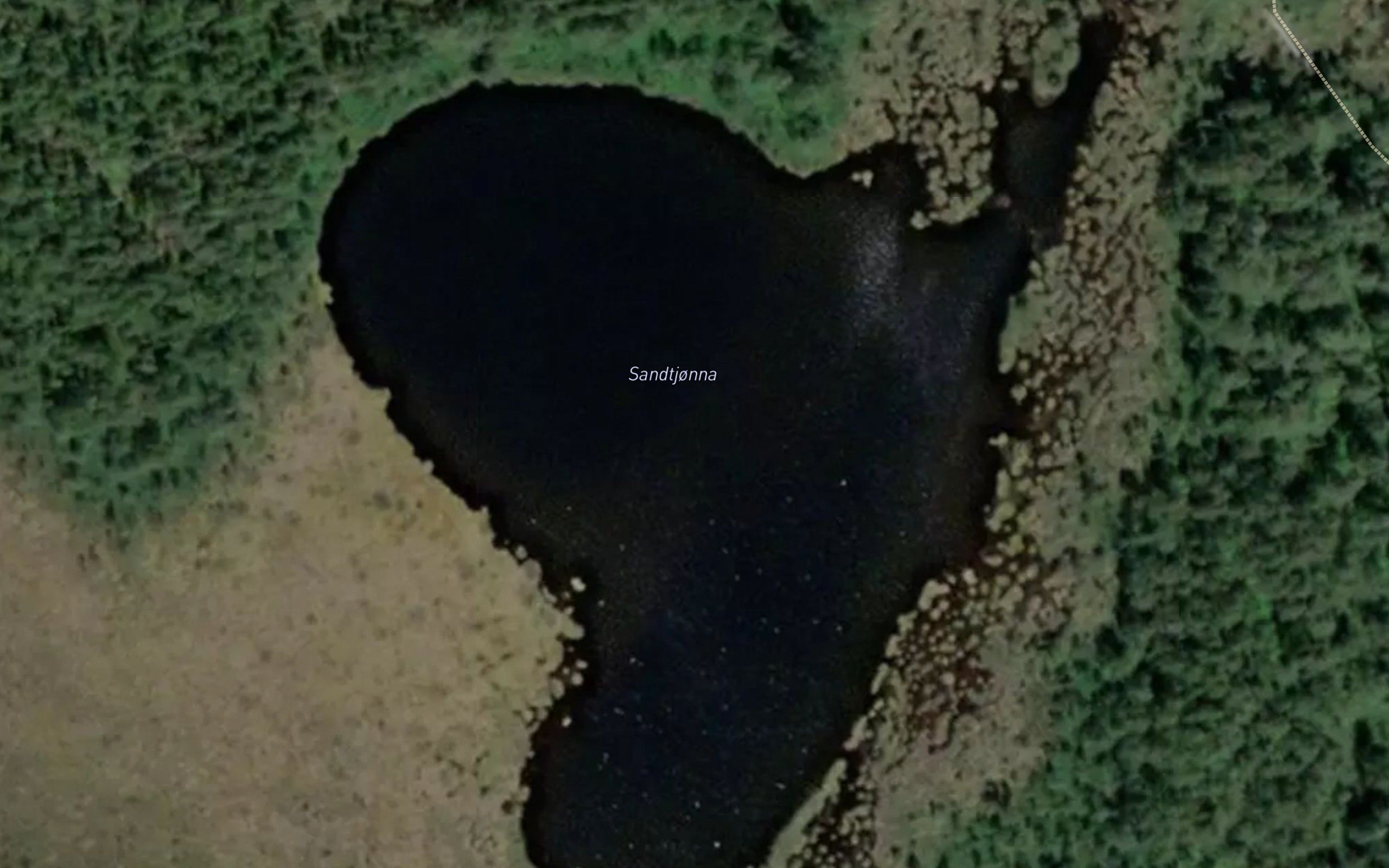 Sandtjorn