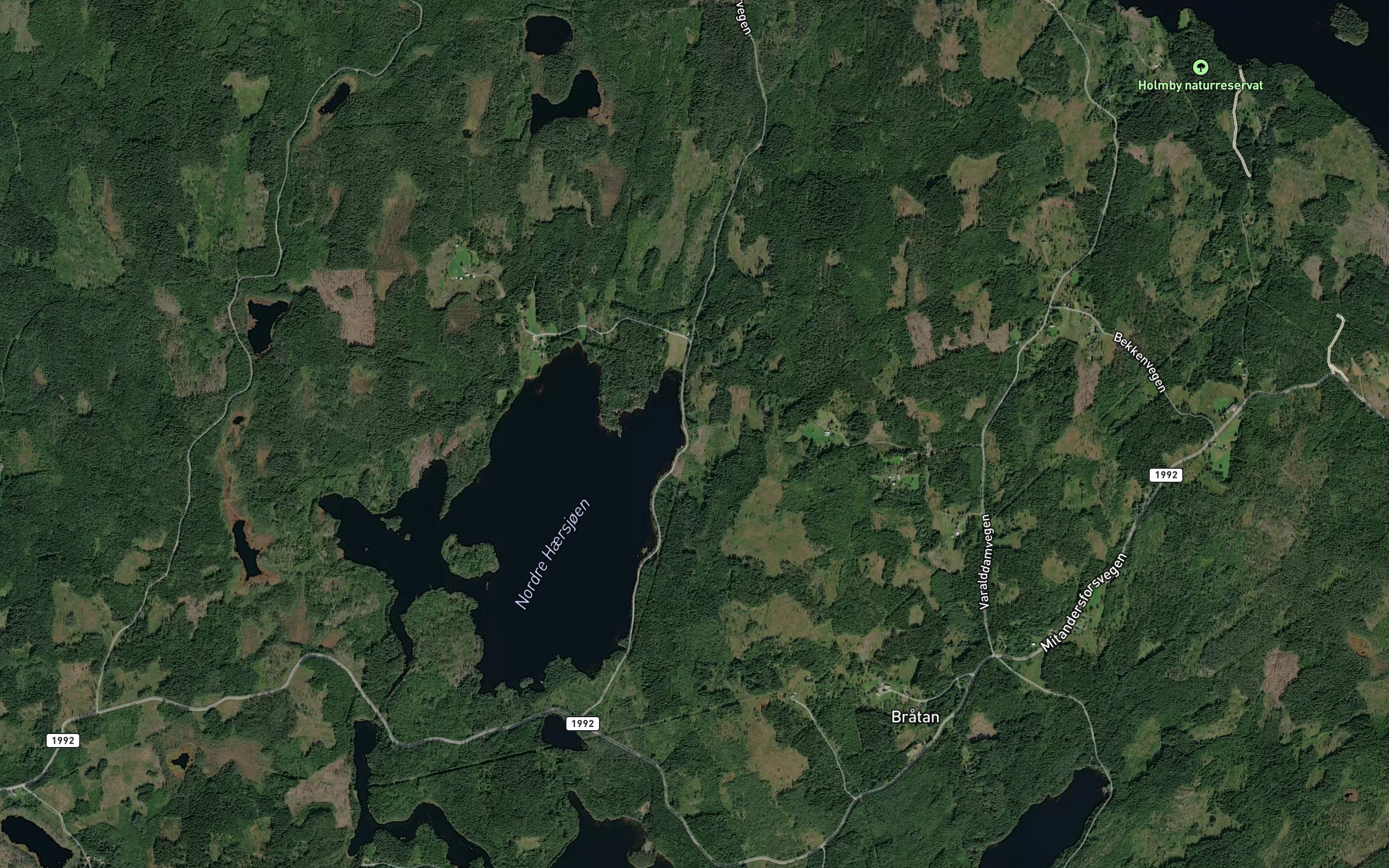 Persvangen