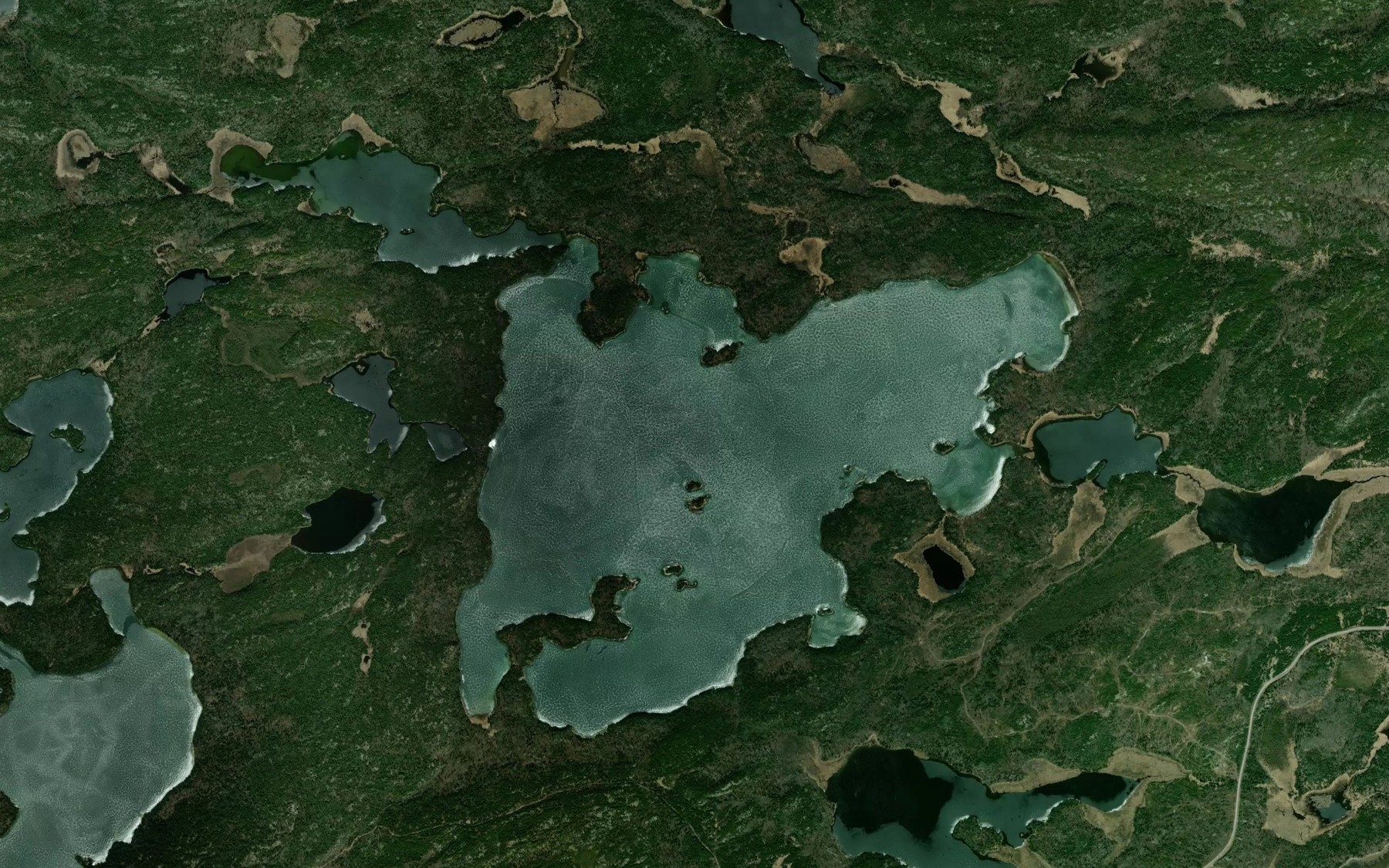 Satellite map of the Treelined Lake