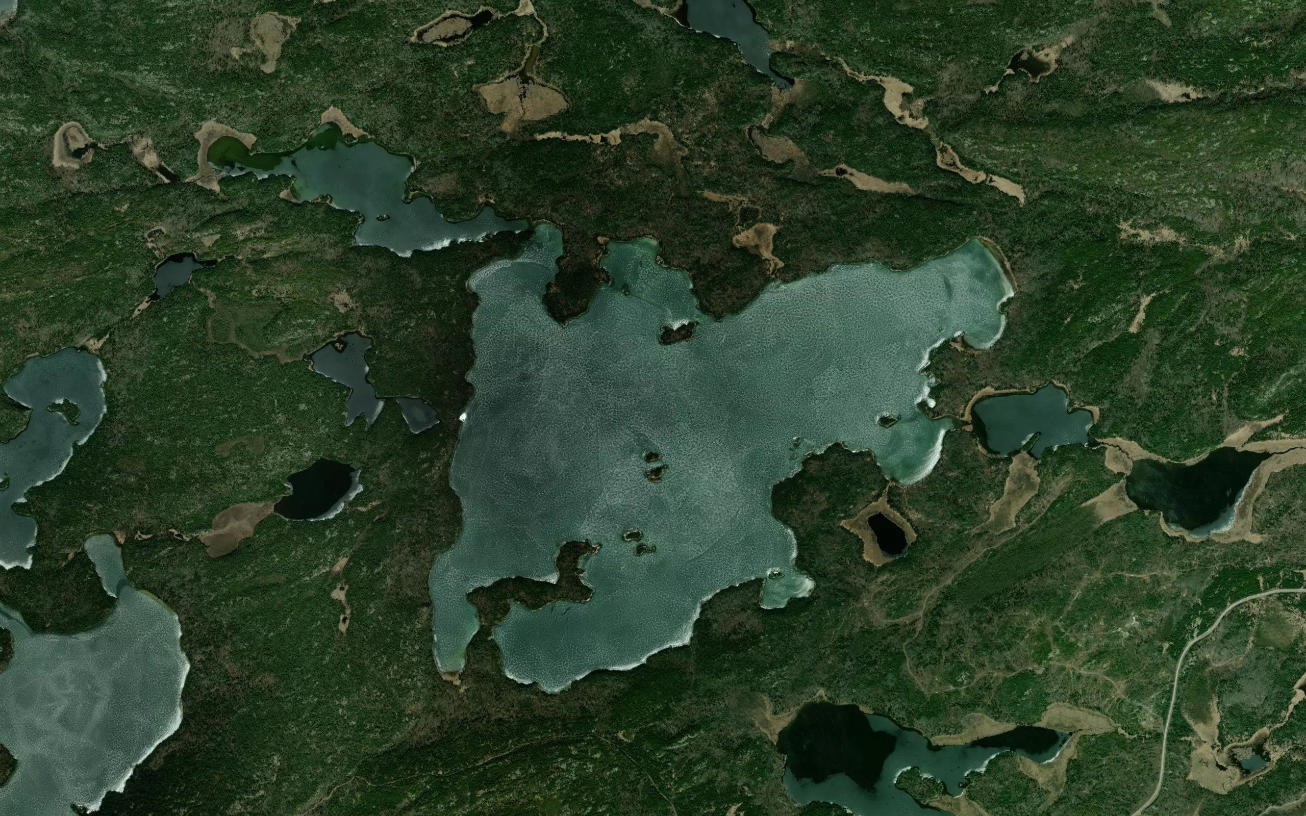Treelined Lake