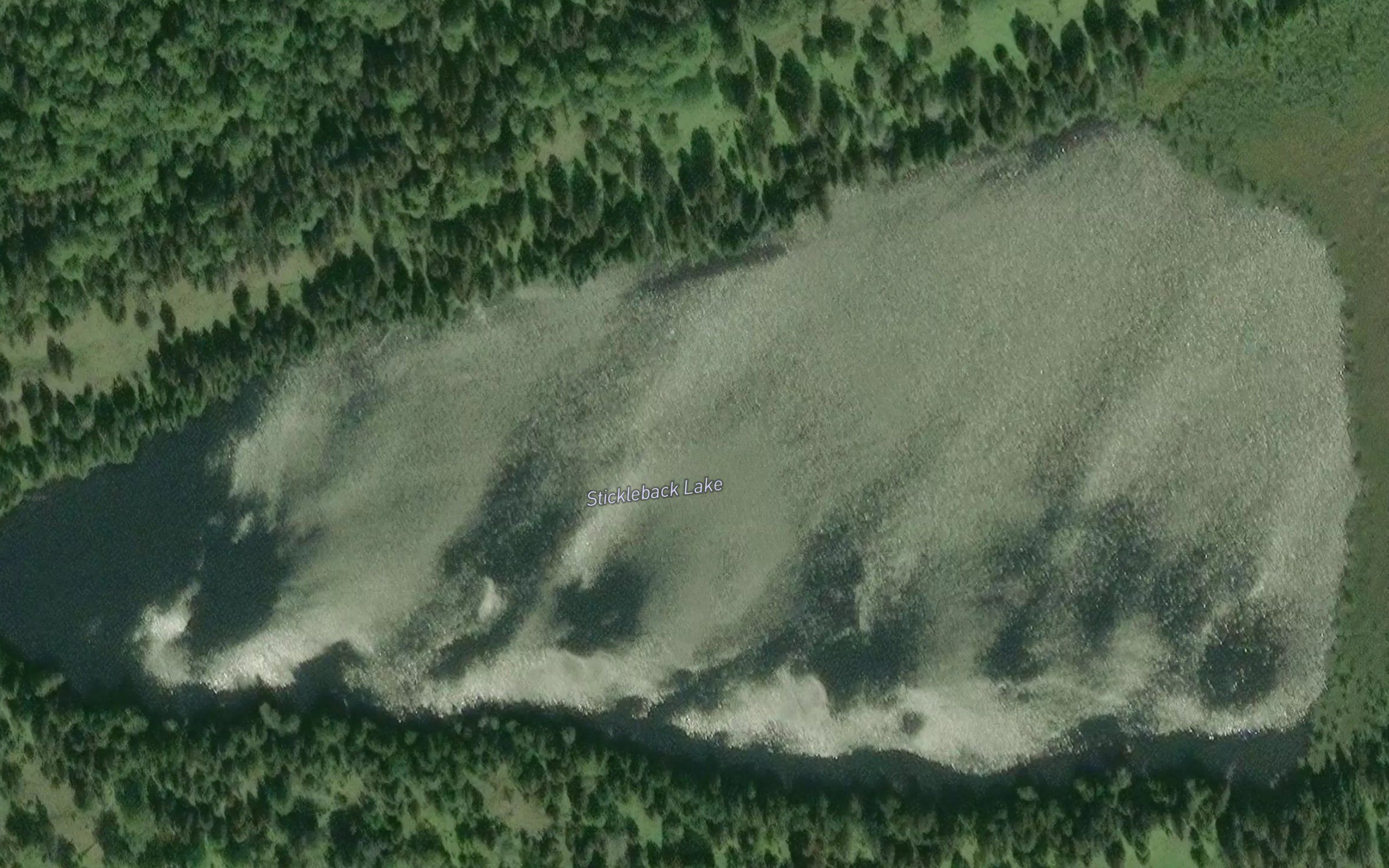 Stickleback Lake