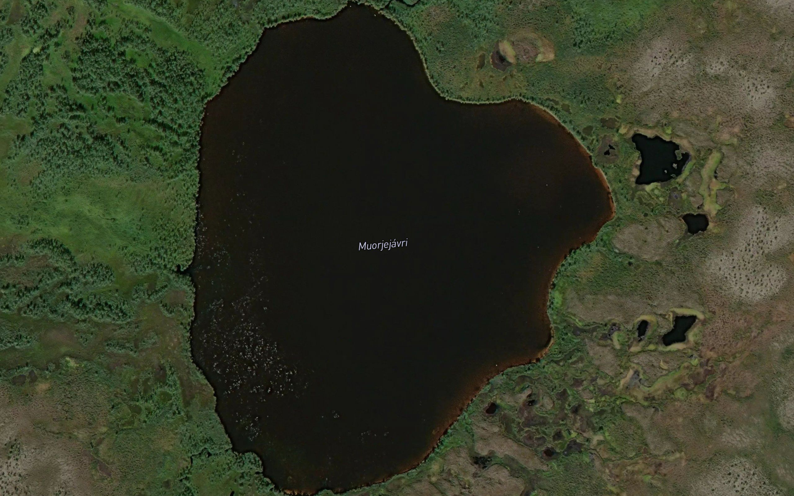 Muorjejavri