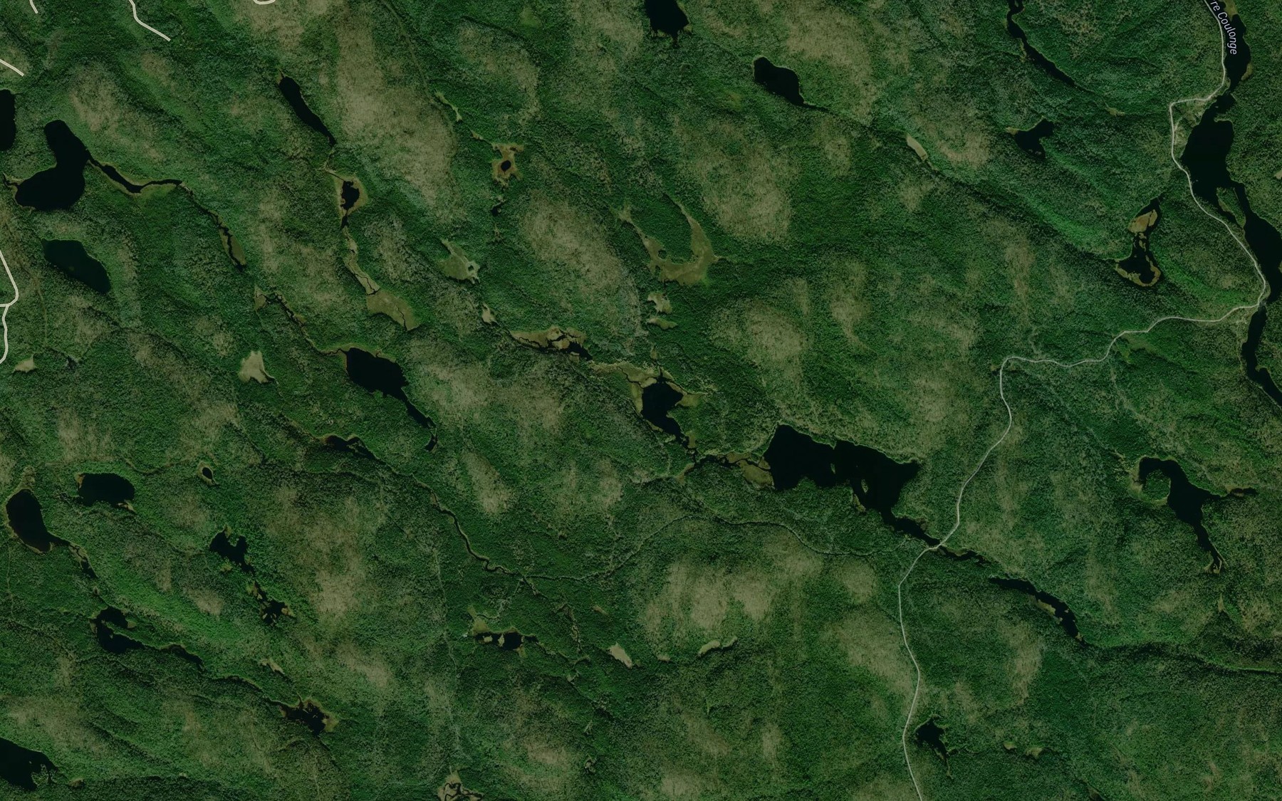 Satellite map of the Lac du Camouflage