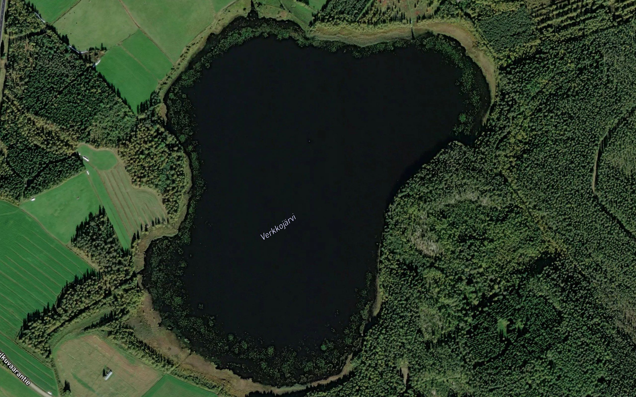 Verkkojarvi