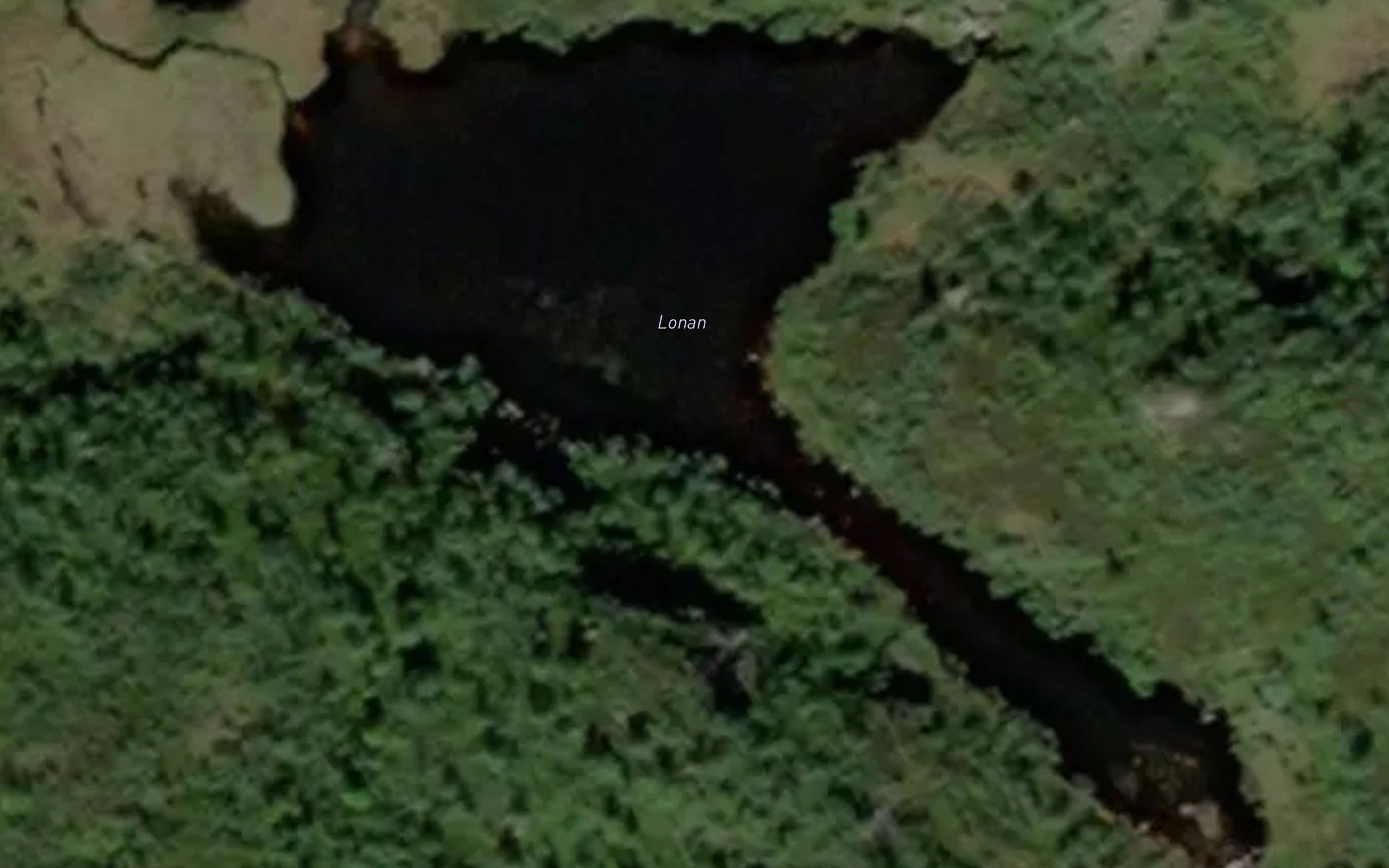 Loni
