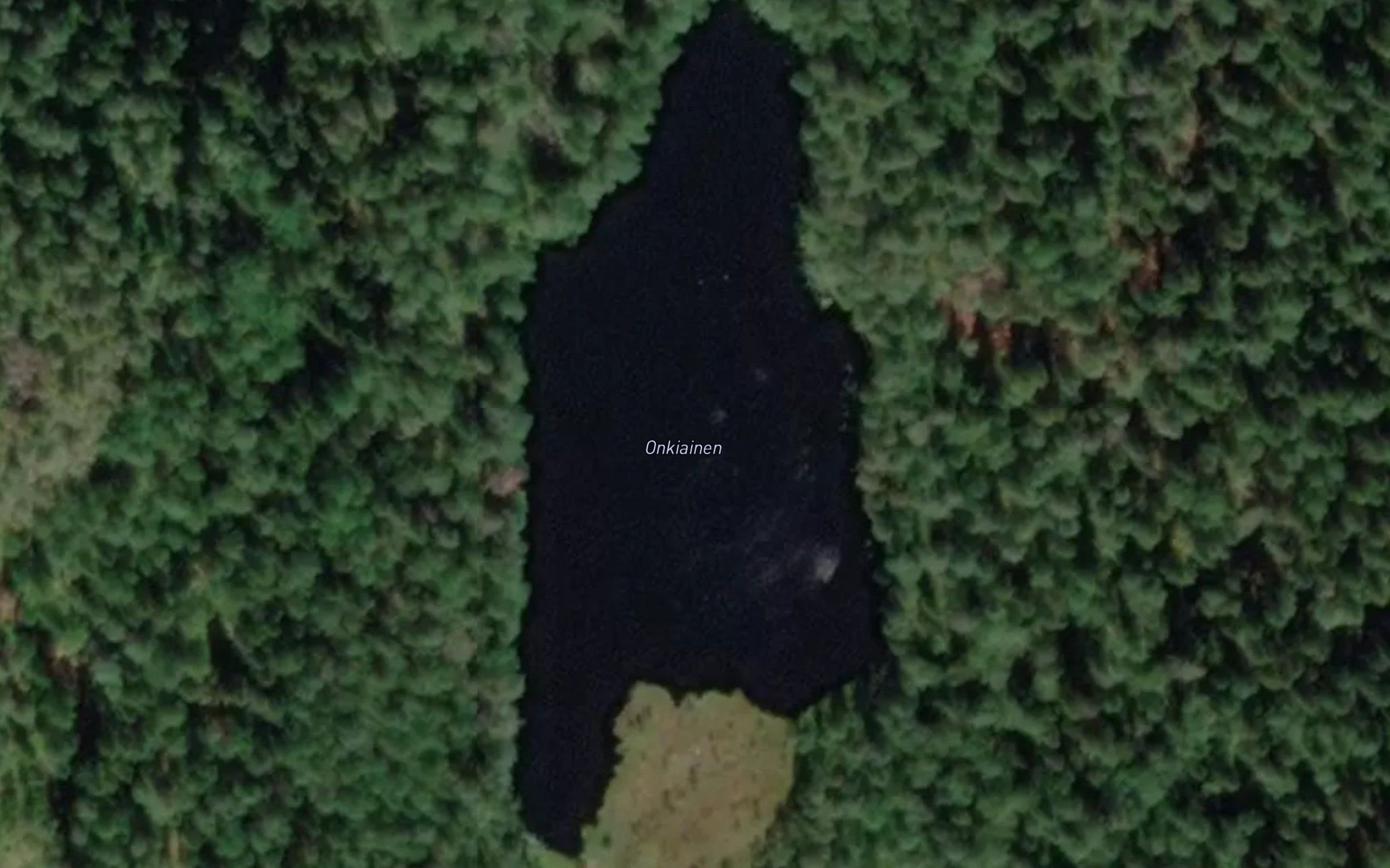 Onkiainen