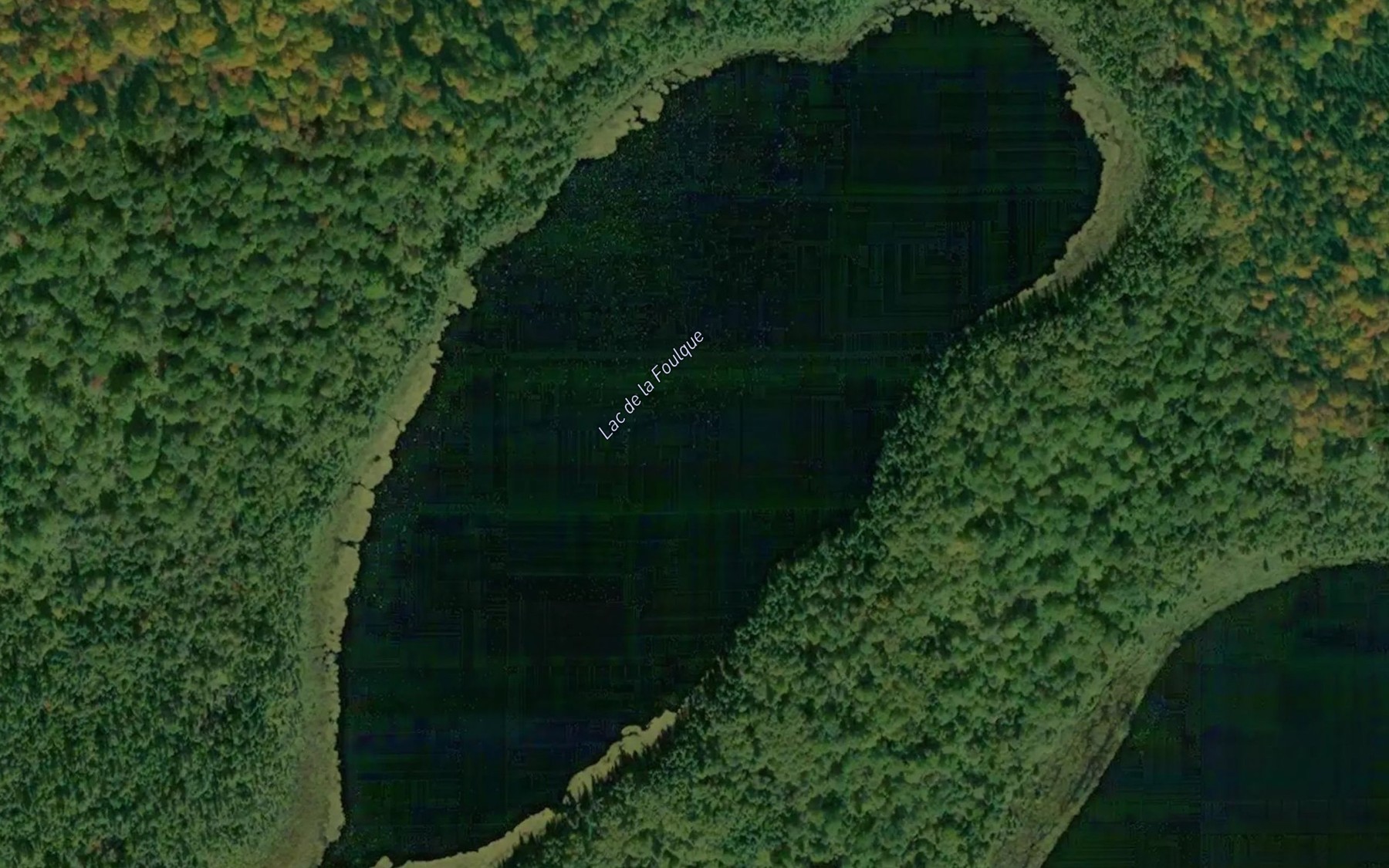 Satellite map of the Lac de la Foulque
