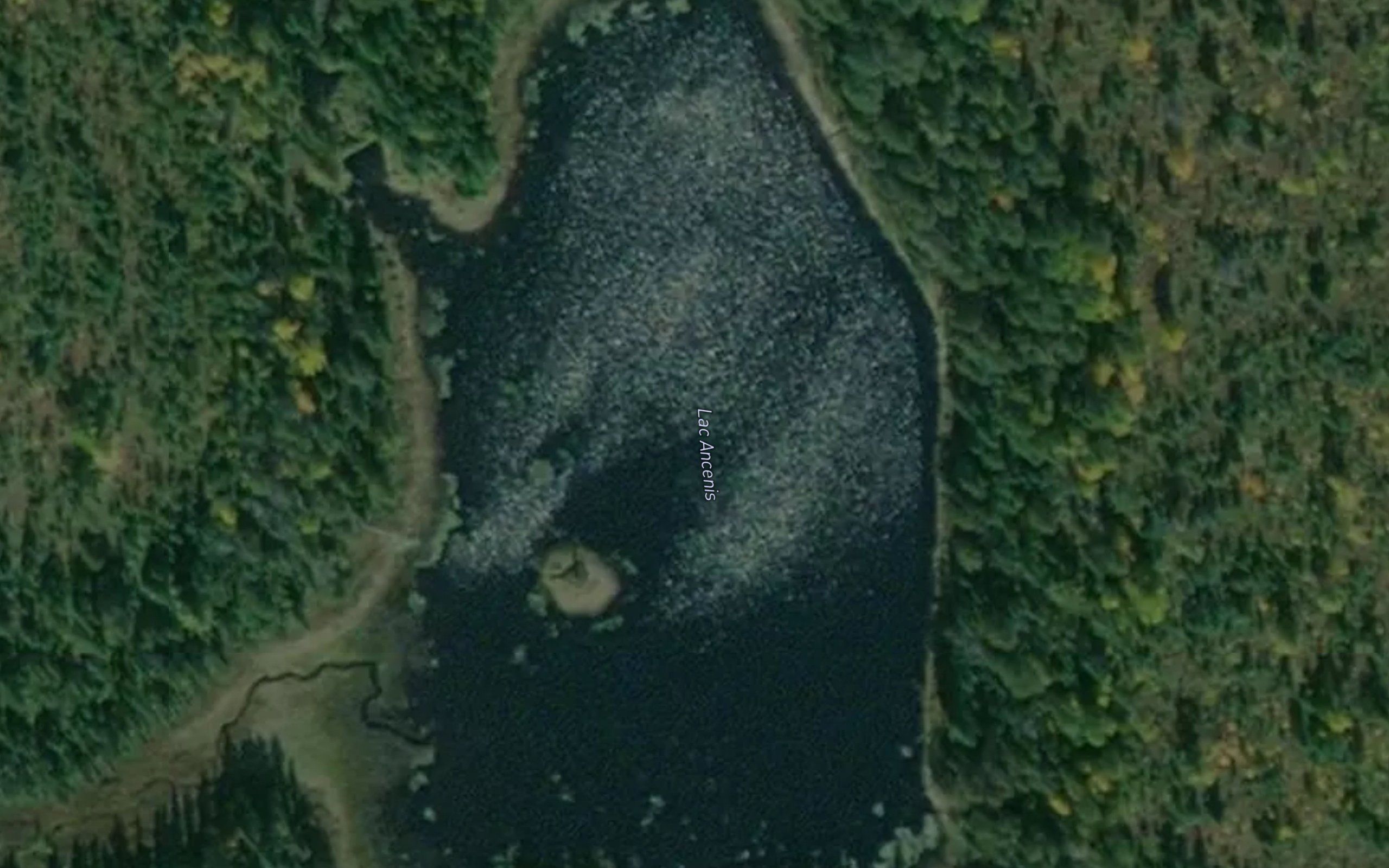 Lac Ancenis