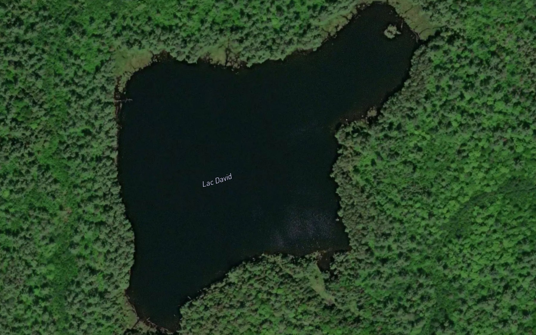 Satellite map of the Lac David