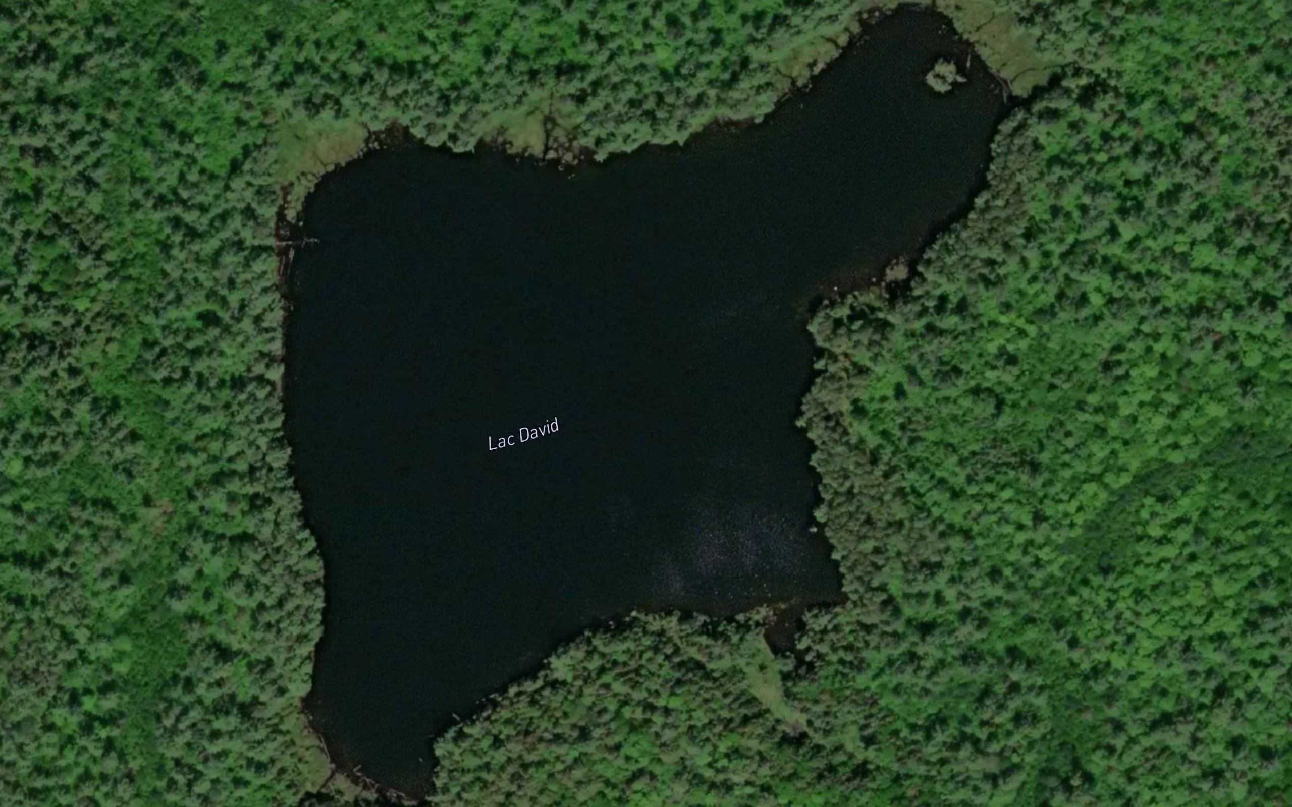 Lac David