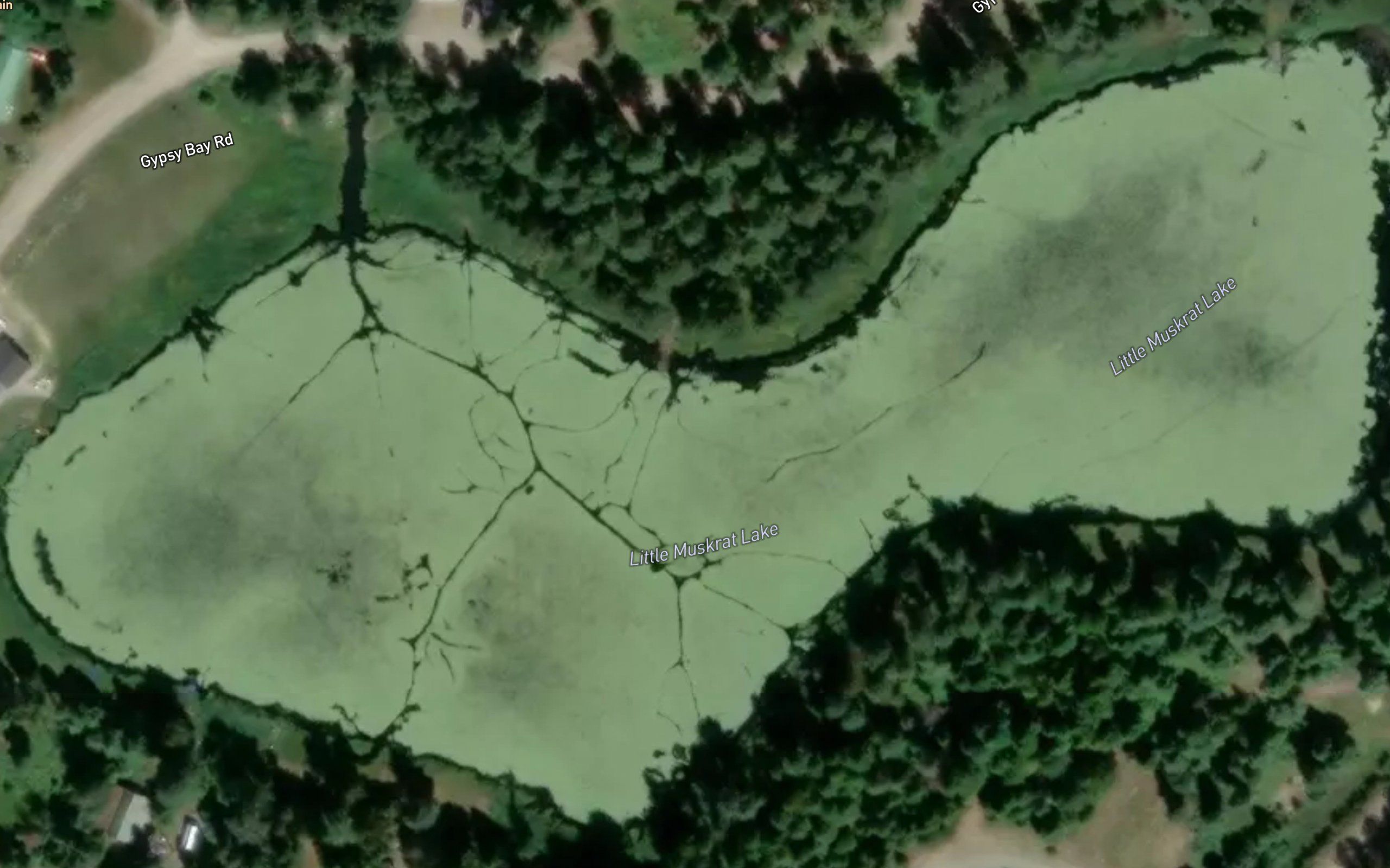 Little Muskrat Lake