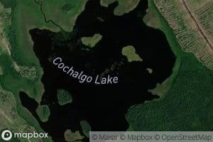 Cochalgo Lake